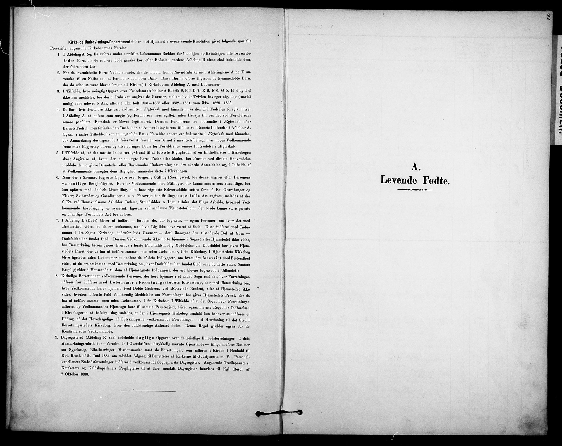 Borre kirkebøker, SAKO/A-338/F/Fb/L0002: Parish register (official) no. II 2, 1893-1905, p. 3