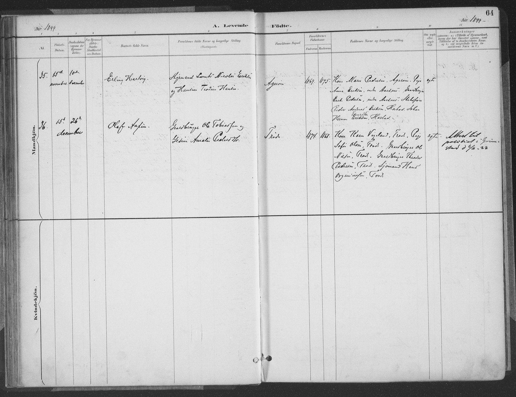Høvåg sokneprestkontor, SAK/1111-0025/F/Fa/L0006: Parish register (official) no. A 6, 1894-1923, p. 64