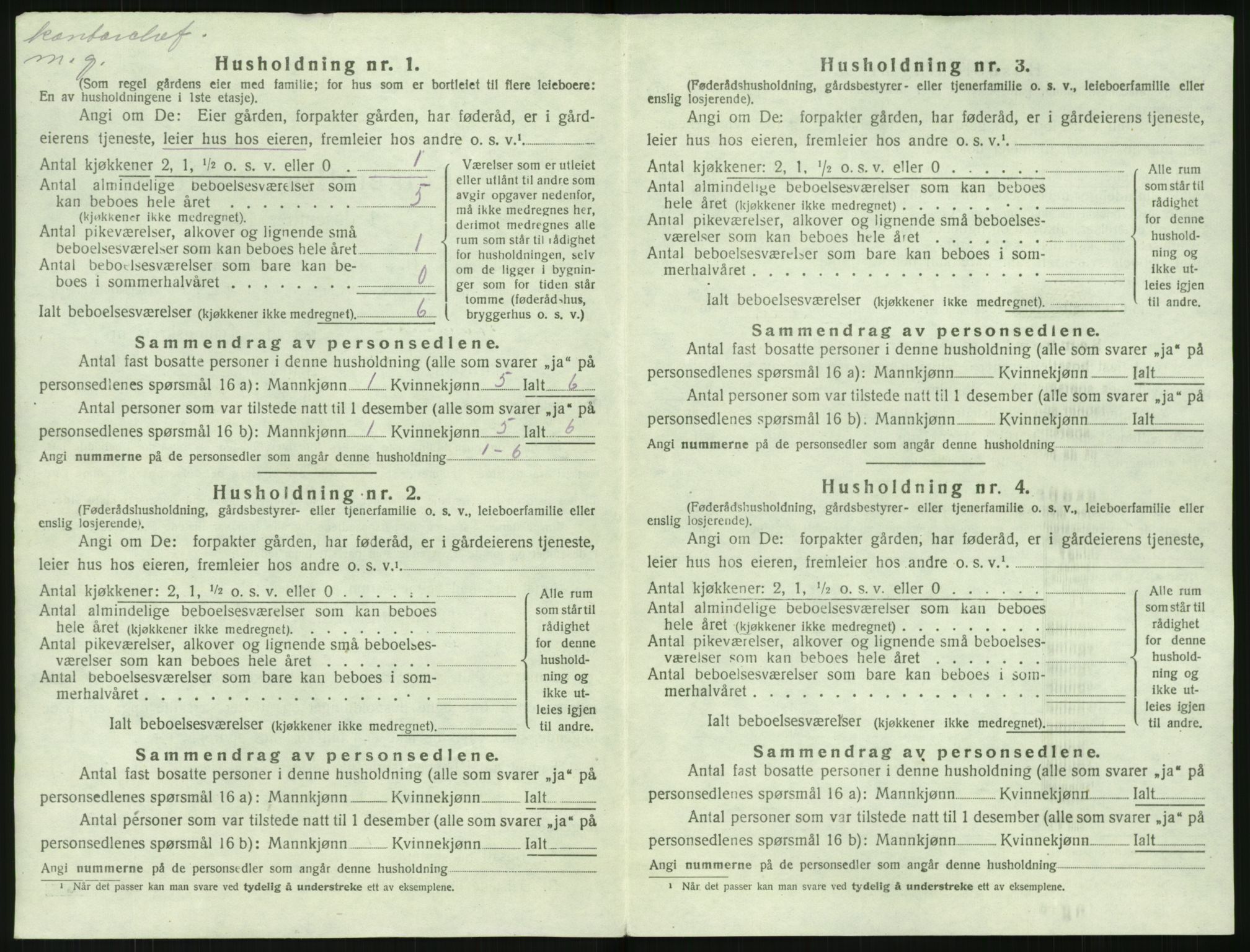 SAK, 1920 census for Stokken, 1920, p. 515