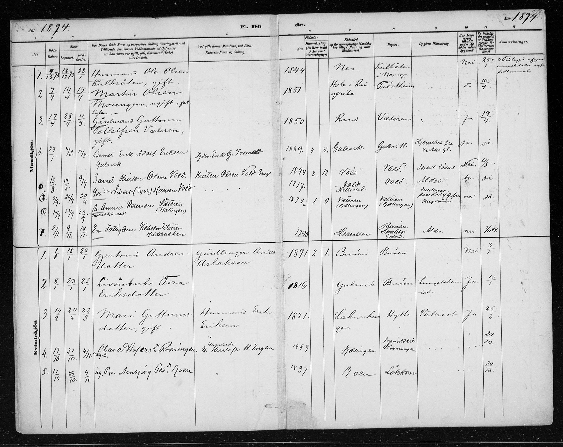 Nes kirkebøker, AV/SAKO-A-236/F/Fa/L0012: Parish register (official) no. 12, 1881-1917, p. 295