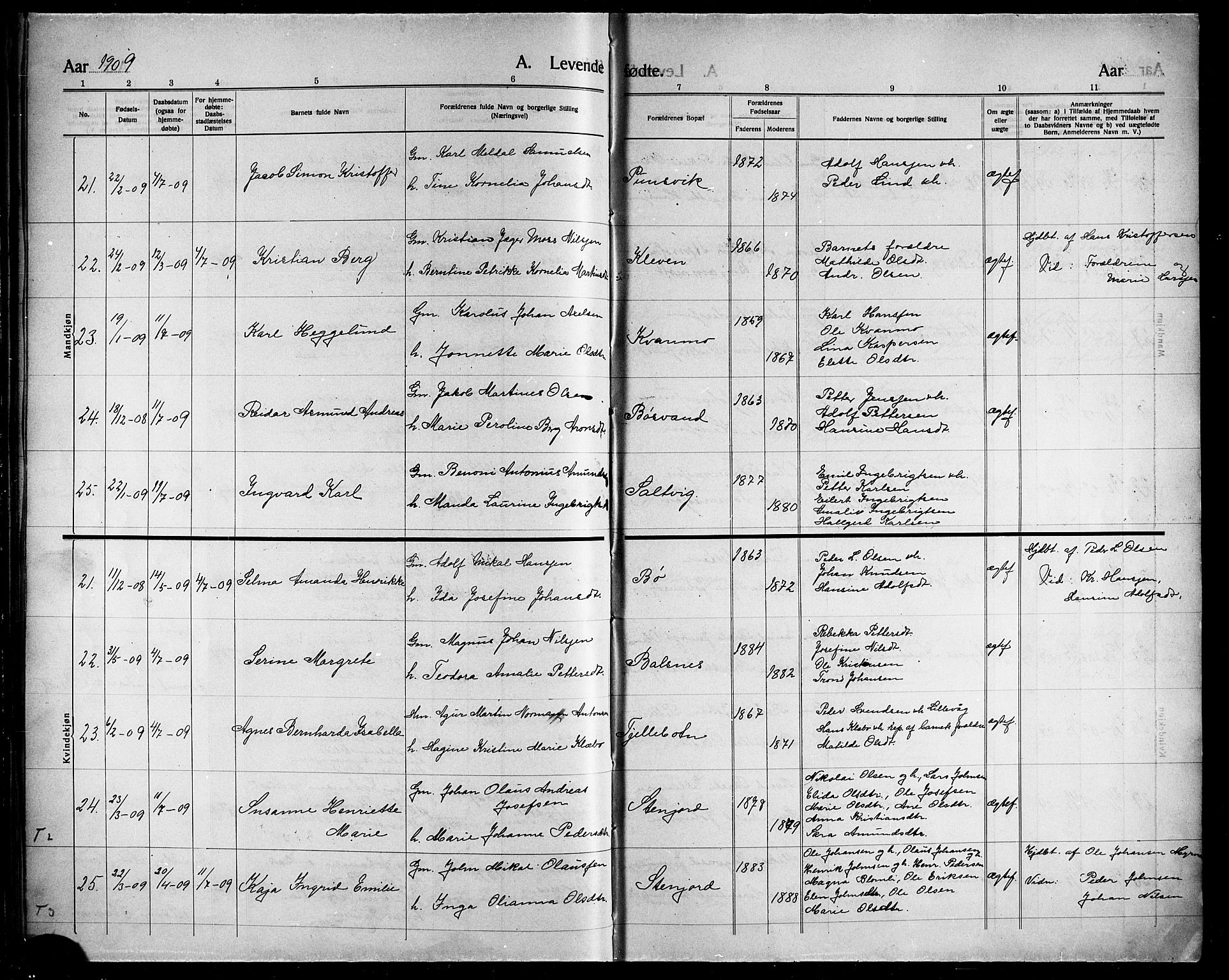 Ministerialprotokoller, klokkerbøker og fødselsregistre - Nordland, AV/SAT-A-1459/863/L0916: Parish register (copy) no. 863C06, 1907-1921