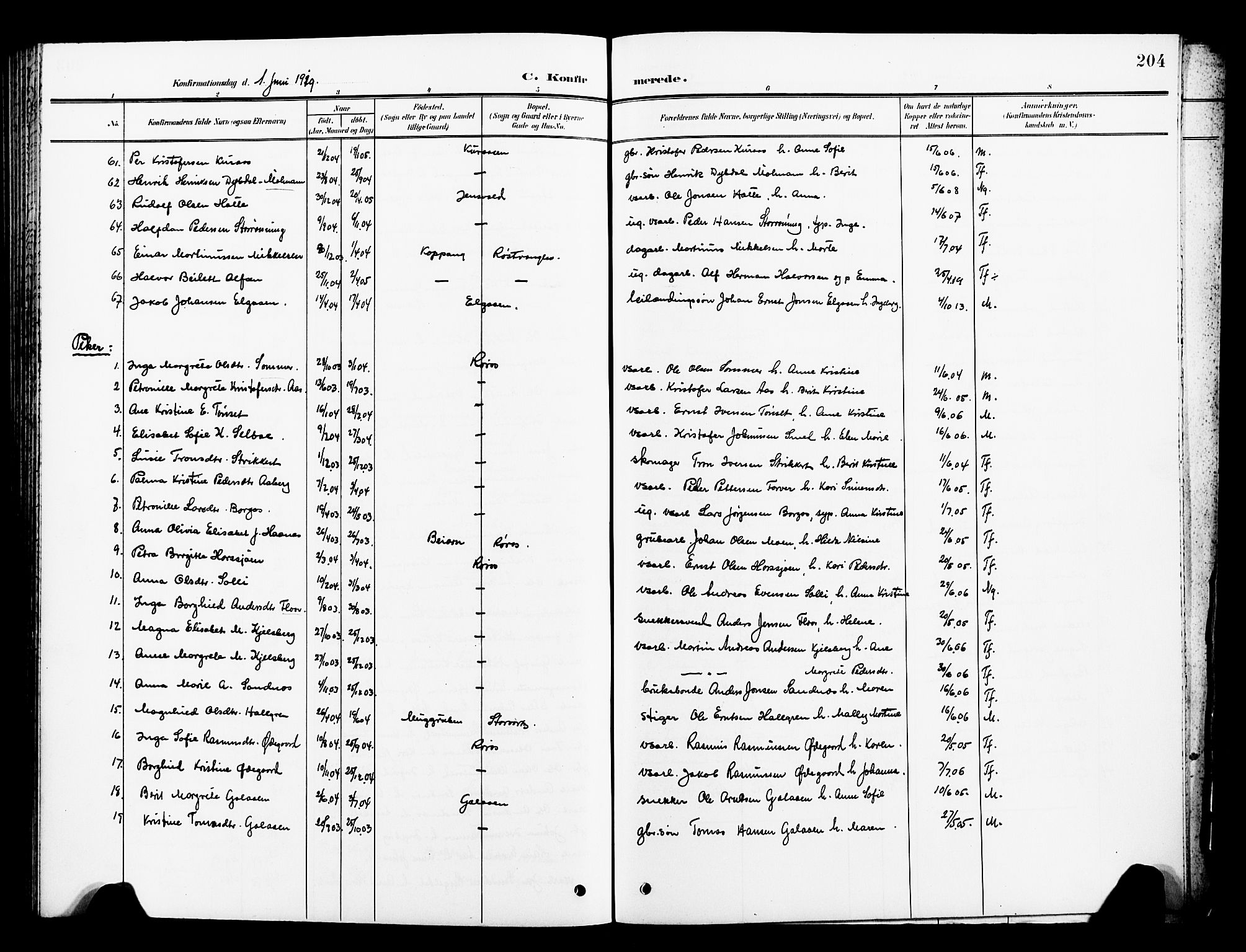 Ministerialprotokoller, klokkerbøker og fødselsregistre - Sør-Trøndelag, SAT/A-1456/681/L0942: Parish register (copy) no. 681C06, 1906-1925, p. 204