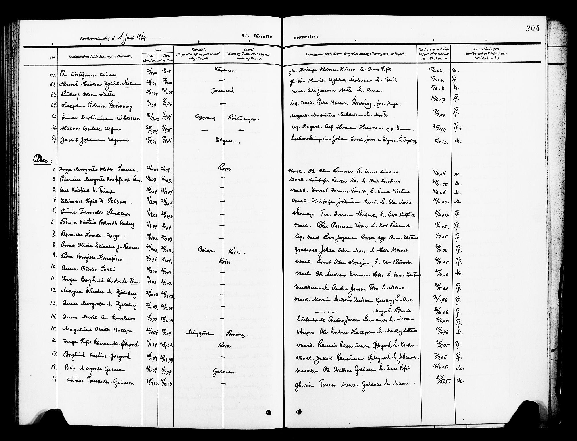 Ministerialprotokoller, klokkerbøker og fødselsregistre - Sør-Trøndelag, AV/SAT-A-1456/681/L0942: Parish register (copy) no. 681C06, 1906-1925, p. 204