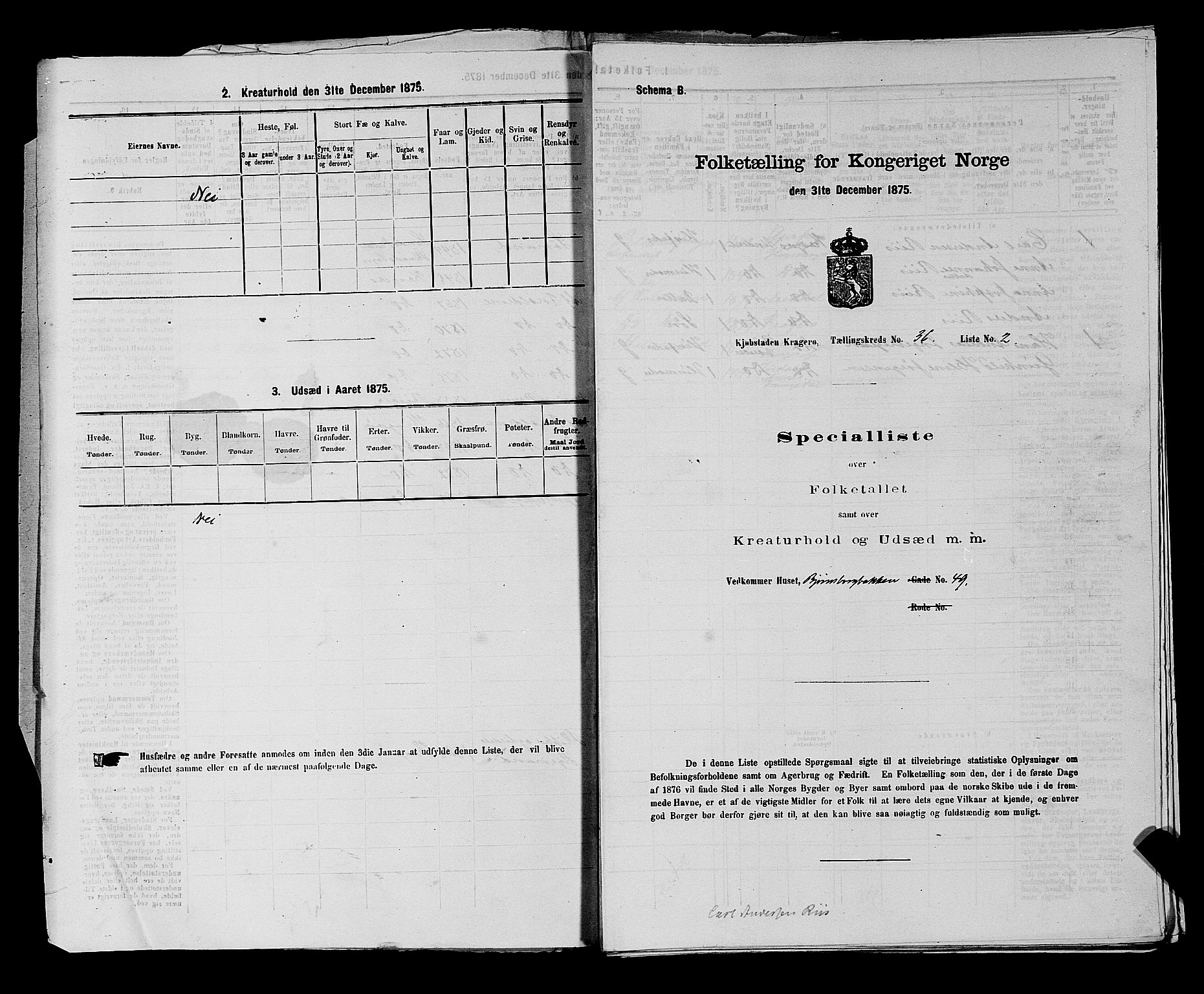 SAKO, 1875 census for 0801P Kragerø, 1875, p. 807