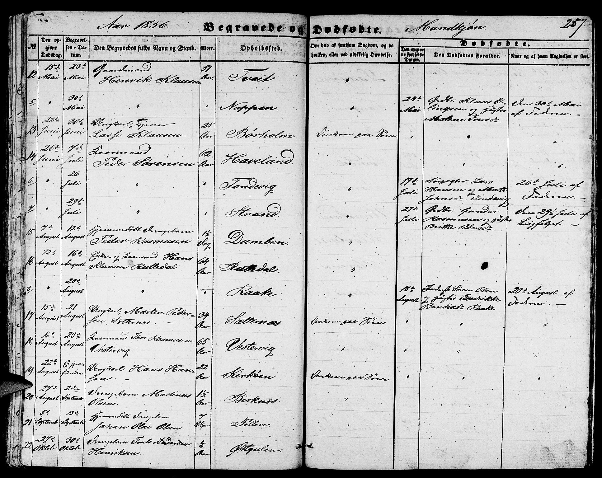 Gulen sokneprestembete, AV/SAB-A-80201/H/Hab/Habb/L0001: Parish register (copy) no. B 1, 1854-1866, p. 257