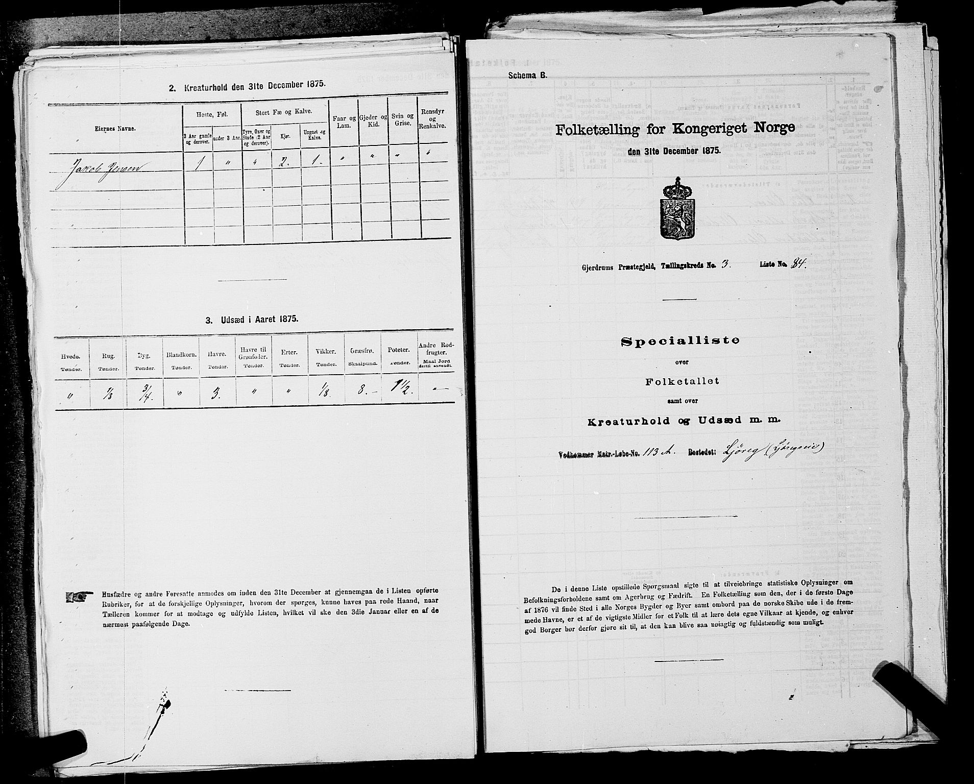 RA, 1875 census for 0234P Gjerdrum, 1875, p. 557