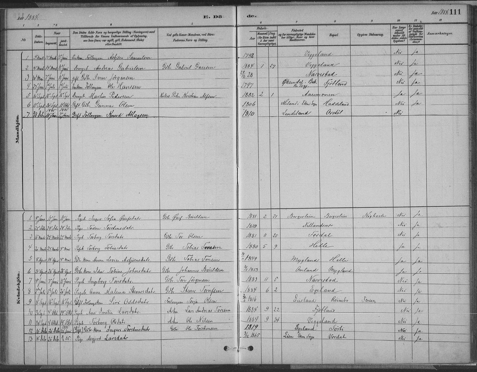 Fjotland sokneprestkontor, AV/SAK-1111-0010/F/Fa/L0002: Parish register (official) no. A 2, 1880-1898, p. 111