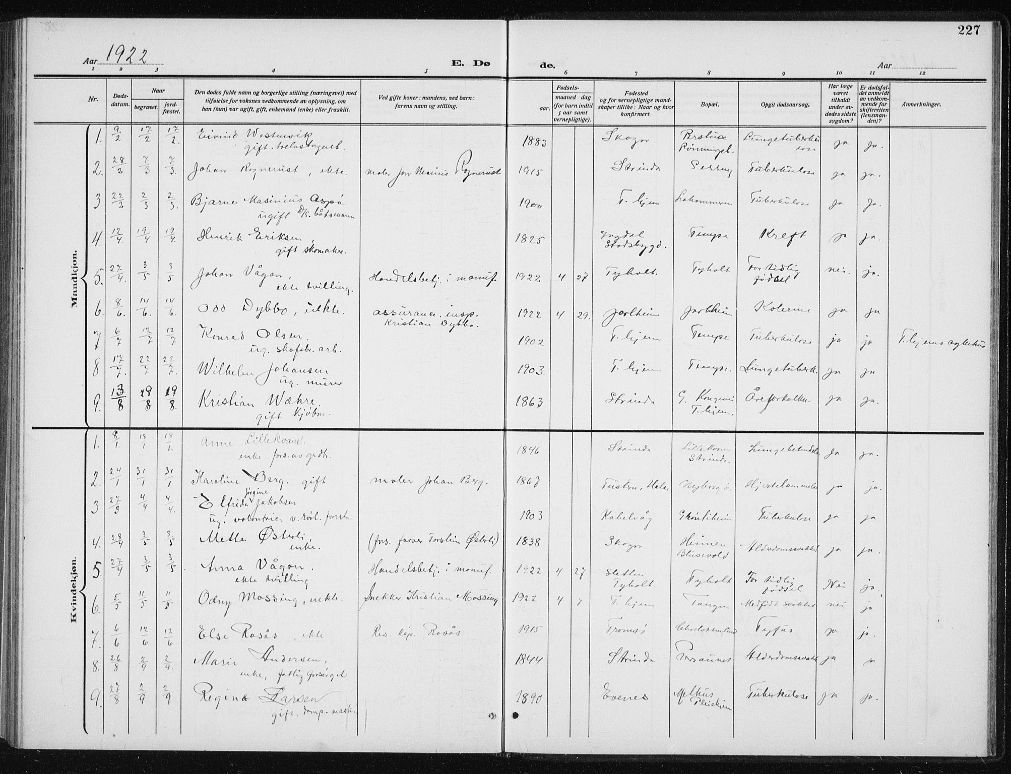 Ministerialprotokoller, klokkerbøker og fødselsregistre - Sør-Trøndelag, SAT/A-1456/606/L0314: Parish register (copy) no. 606C10, 1911-1937, p. 227