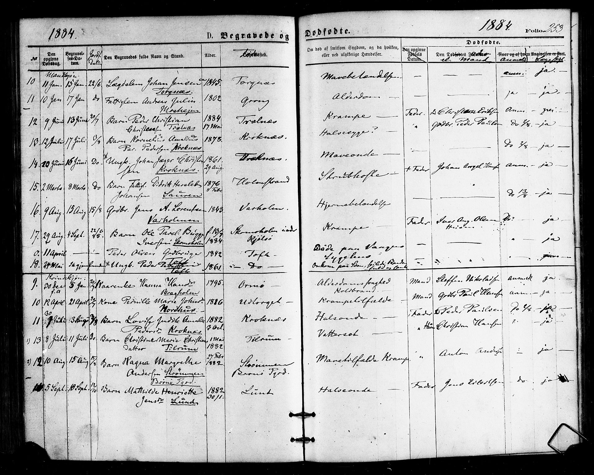 Ministerialprotokoller, klokkerbøker og fødselsregistre - Nordland, AV/SAT-A-1459/813/L0199: Parish register (official) no. 813A09, 1875-1885, p. 253