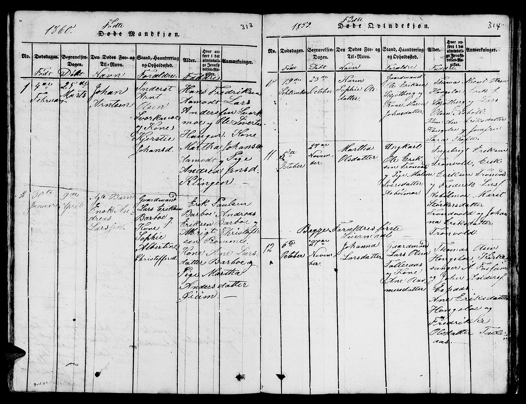 Ministerialprotokoller, klokkerbøker og fødselsregistre - Sør-Trøndelag, AV/SAT-A-1456/671/L0842: Parish register (copy) no. 671C01, 1816-1867, p. 313-314