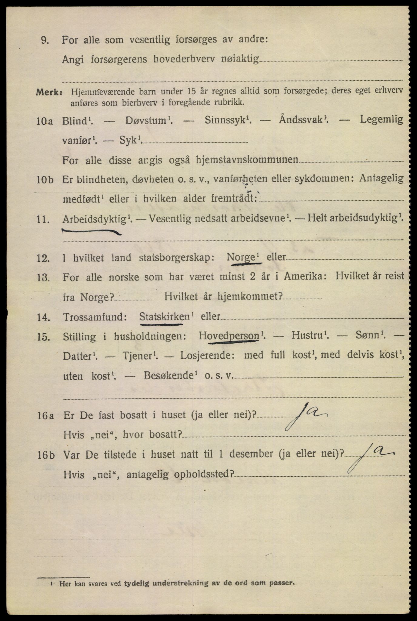 SAKO, 1920 census for Skien, 1920, p. 16863