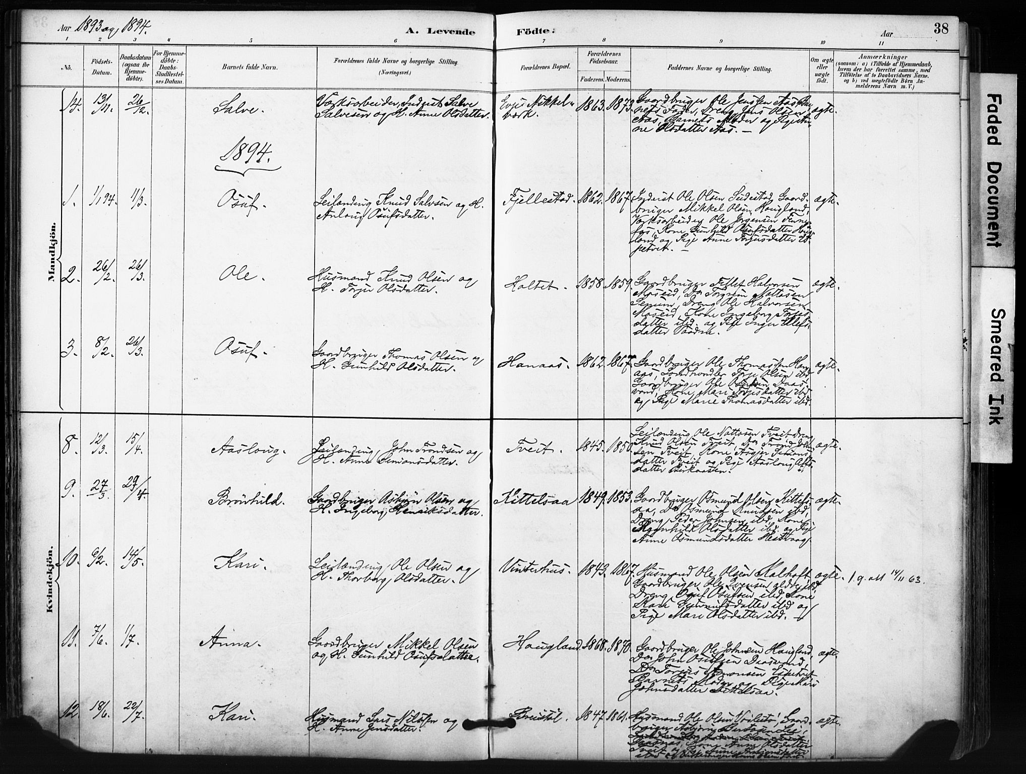 Evje sokneprestkontor, SAK/1111-0008/F/Fa/Fab/L0003: Parish register (official) no. A 3, 1884-1909, p. 38