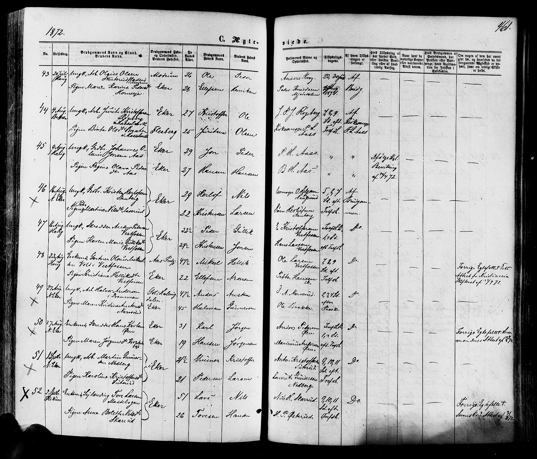 Eiker kirkebøker, SAKO/A-4/F/Fa/L0017: Parish register (official) no. I 17, 1869-1877, p. 461