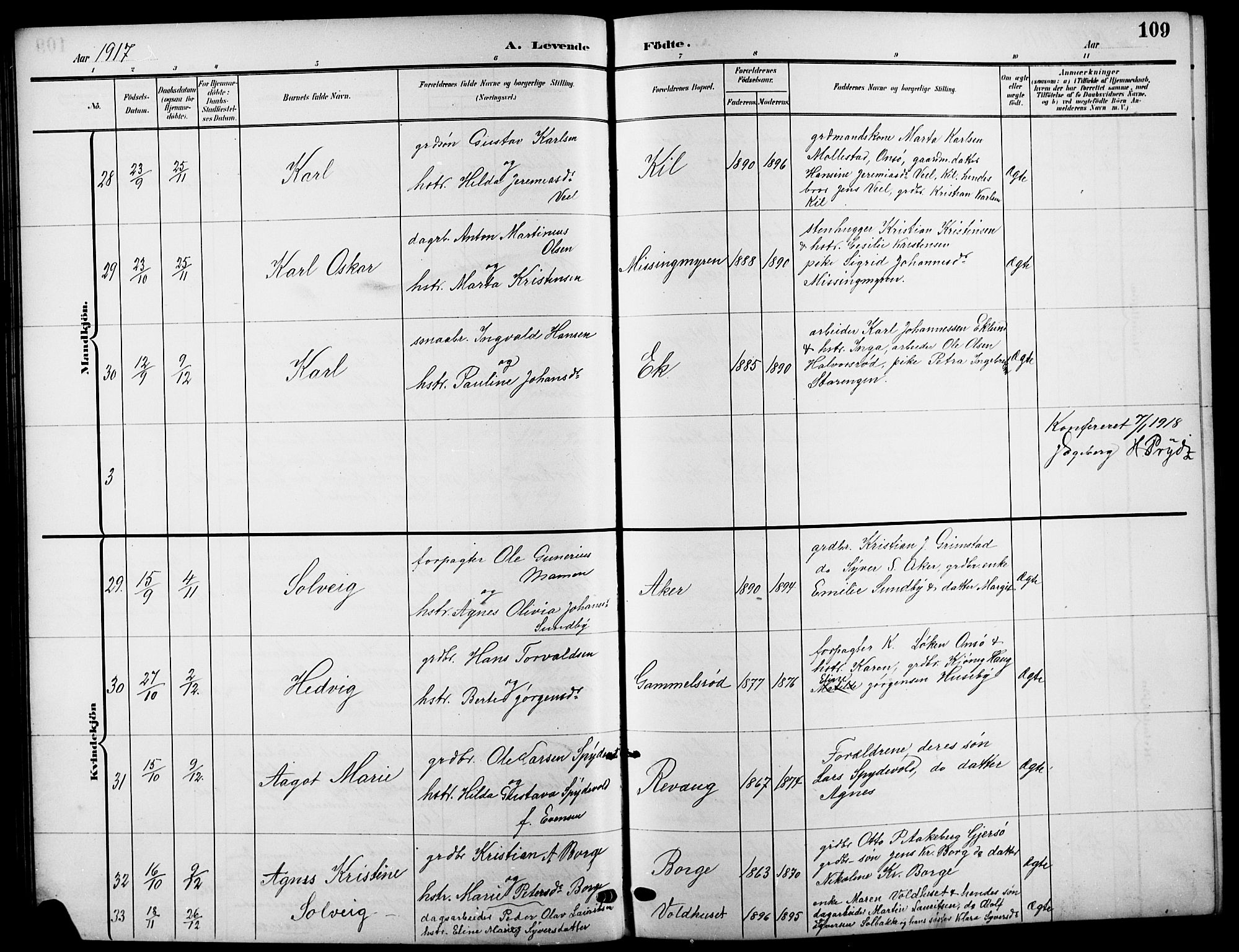 Råde prestekontor kirkebøker, AV/SAO-A-2009/G/Ga/L0001: Parish register (copy) no. 1, 1903-1925, p. 109