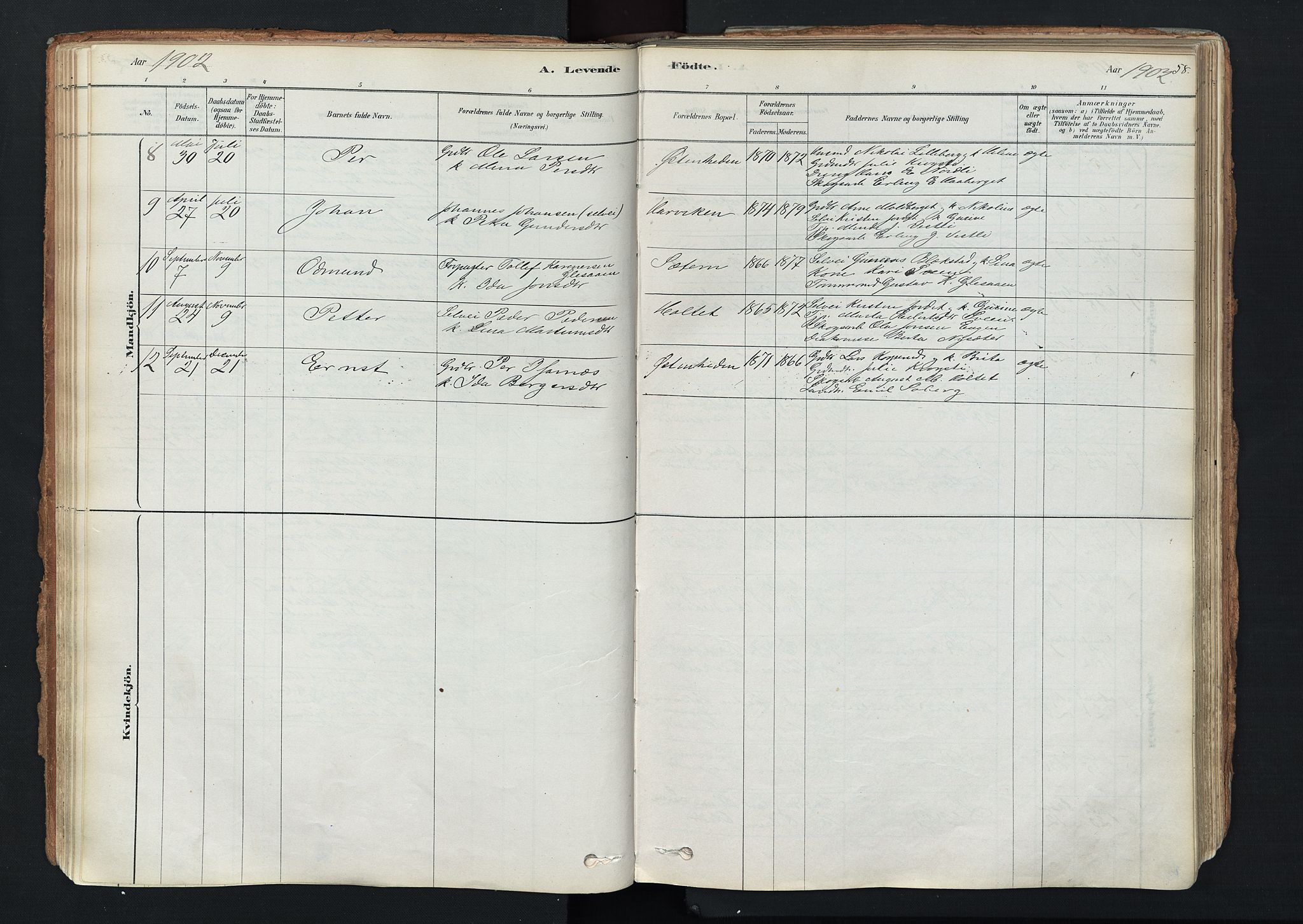 Trysil prestekontor, AV/SAH-PREST-046/H/Ha/Haa/L0011: Parish register (official) no. 11, 1878-1912, p. 58