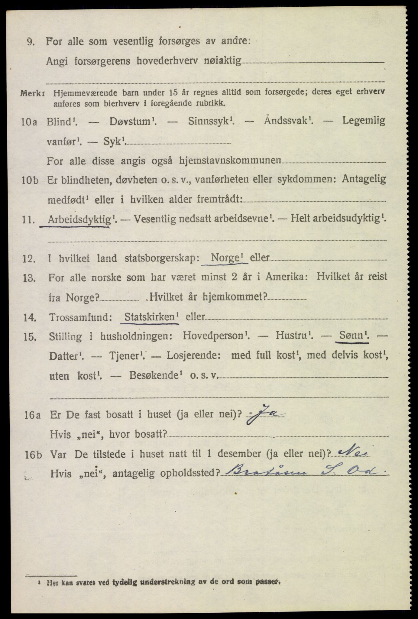 SAH, 1920 census for Sør-Odal, 1920, p. 4248