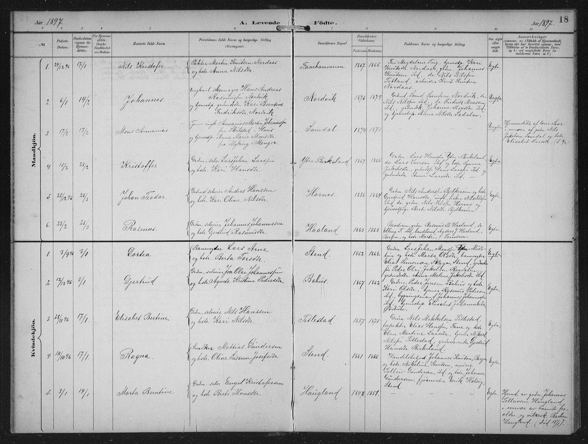 Fana Sokneprestembete, SAB/A-75101/H/Hab/Haba/L0003: Parish register (copy) no. A 3, 1895-1902, p. 18