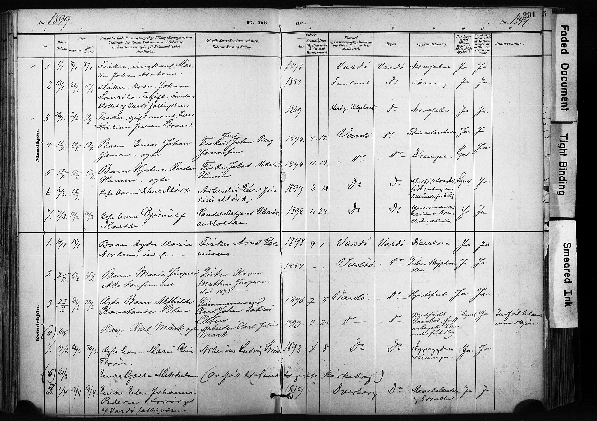 Vardø sokneprestkontor, SATØ/S-1332/H/Ha/L0010kirke: Parish register (official) no. 10, 1895-1907, p. 291