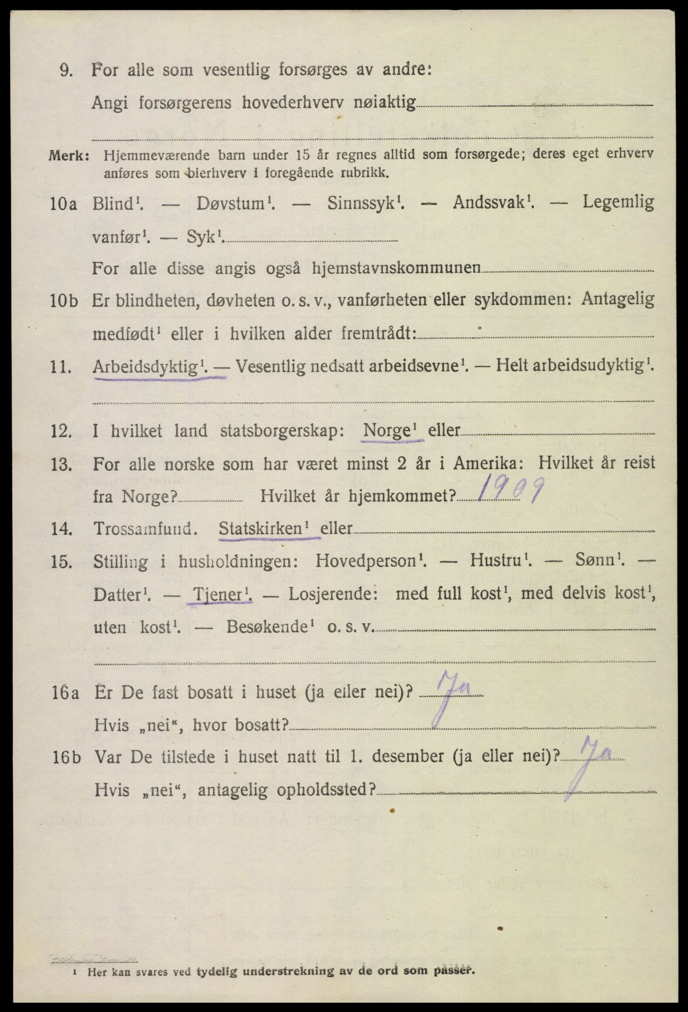 SAK, 1920 census for Hornnes, 1920, p. 914