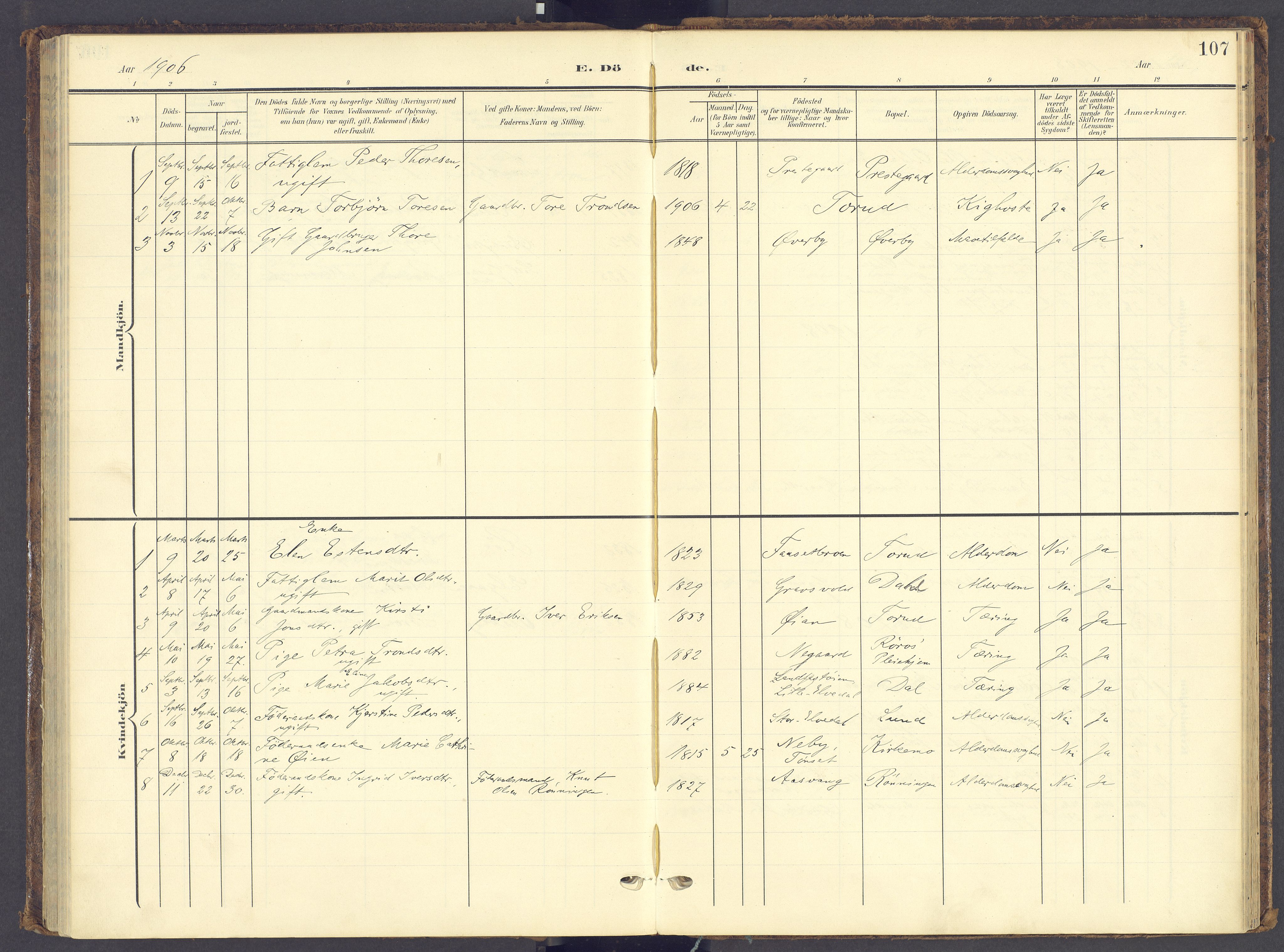 Tynset prestekontor, SAH/PREST-058/H/Ha/Haa/L0028: Parish register (official) no. 28, 1902-1929, p. 107