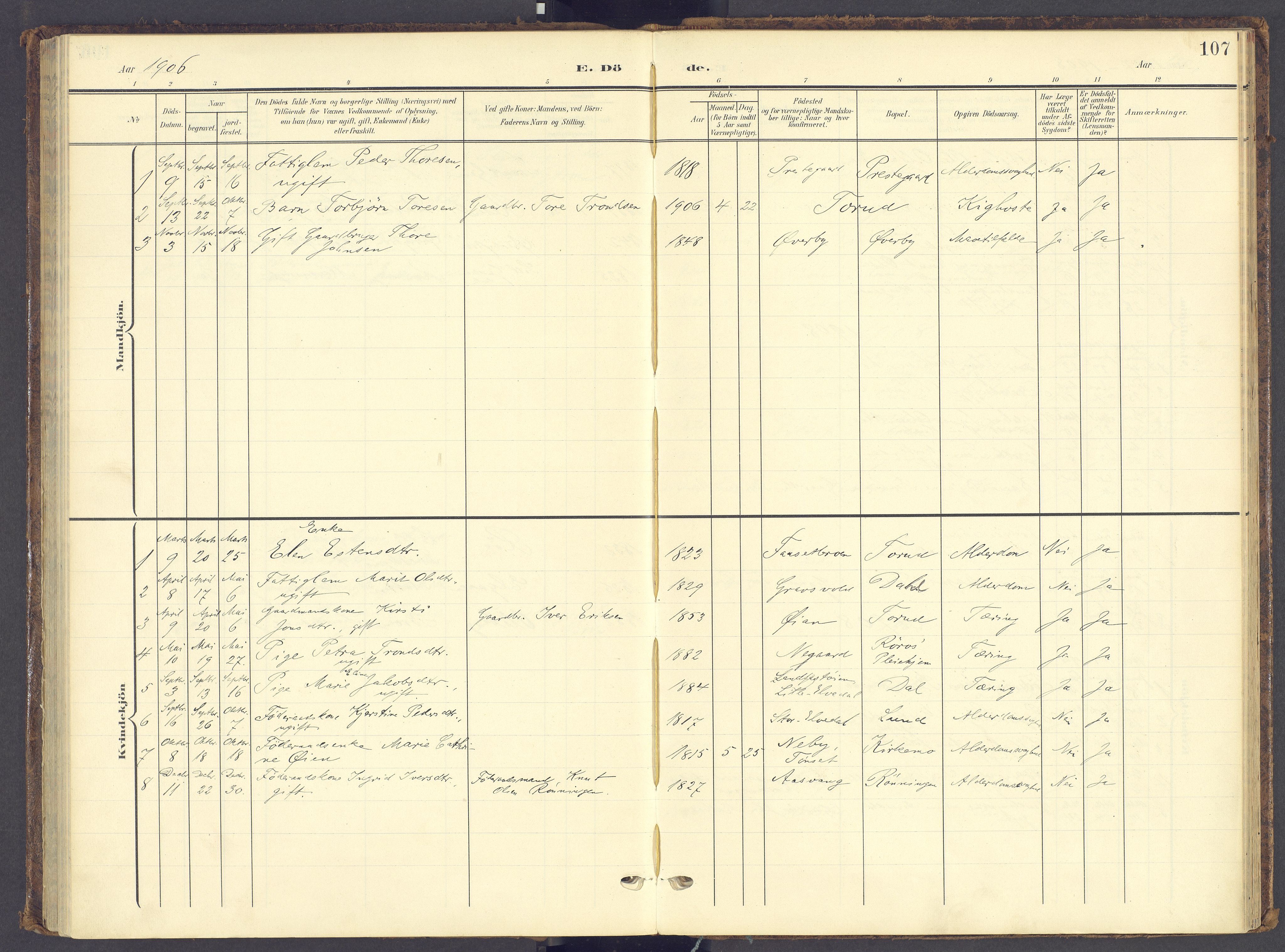 Tynset prestekontor, AV/SAH-PREST-058/H/Ha/Haa/L0028: Parish register (official) no. 28, 1902-1929, p. 107