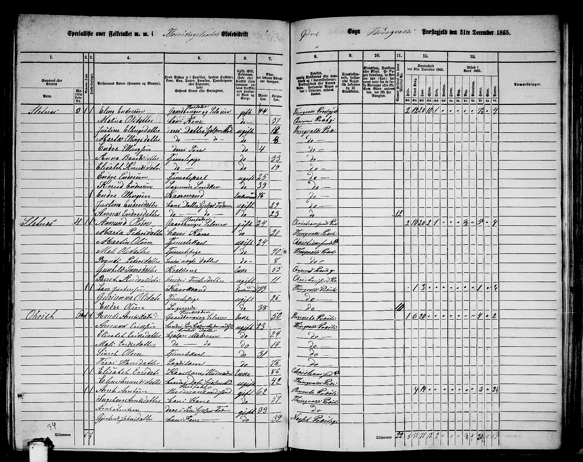 RA, 1865 census for Tingvoll, 1865, p. 163