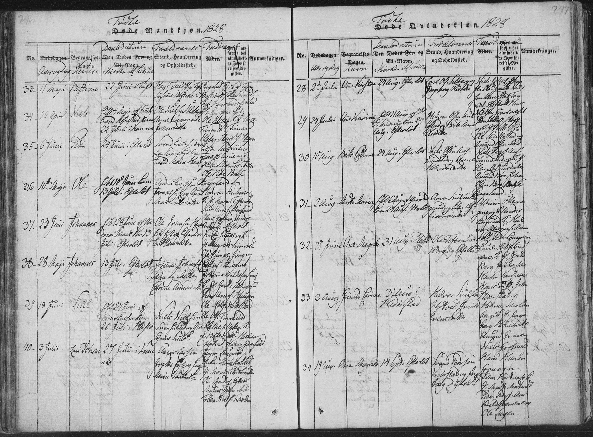 Sandsvær kirkebøker, AV/SAKO-A-244/F/Fa/L0004: Parish register (official) no. I 4, 1817-1839, p. 246-247