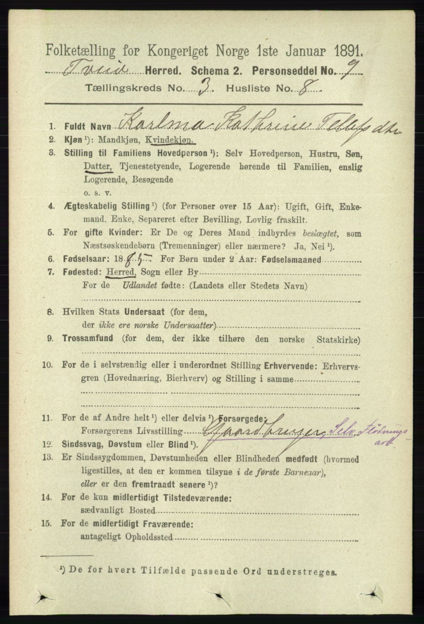 RA, 1891 census for 1013 Tveit, 1891, p. 1233