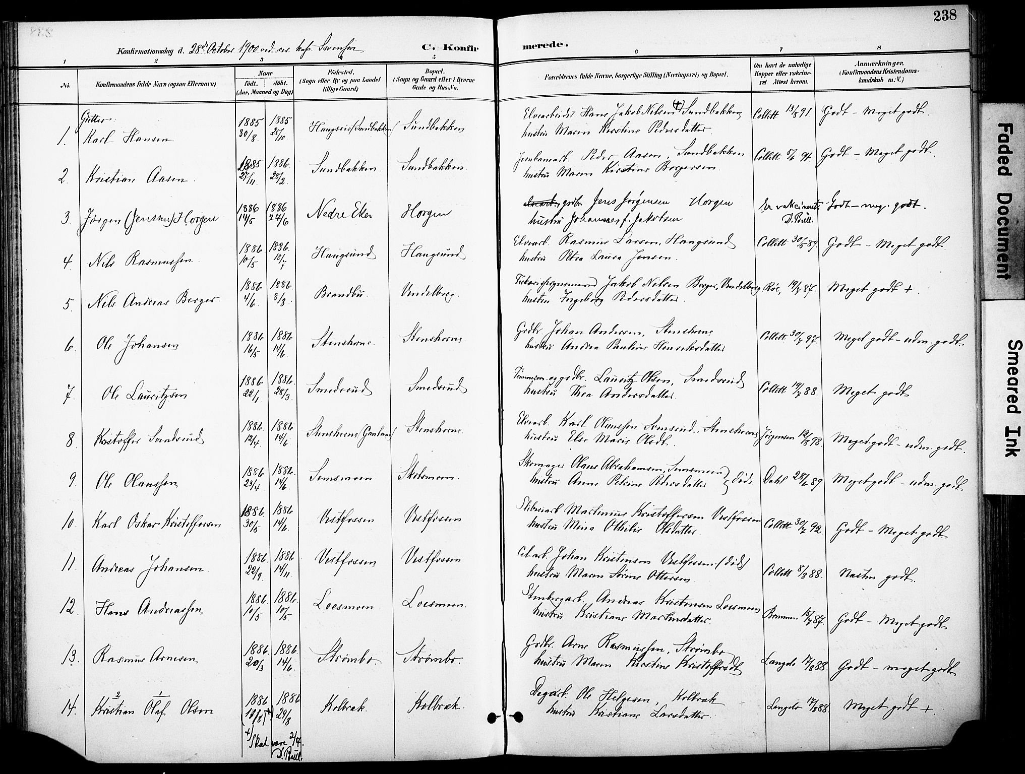 Eiker kirkebøker, AV/SAKO-A-4/F/Fb/L0003: Parish register (official) no. II 3, 1896-1942, p. 238