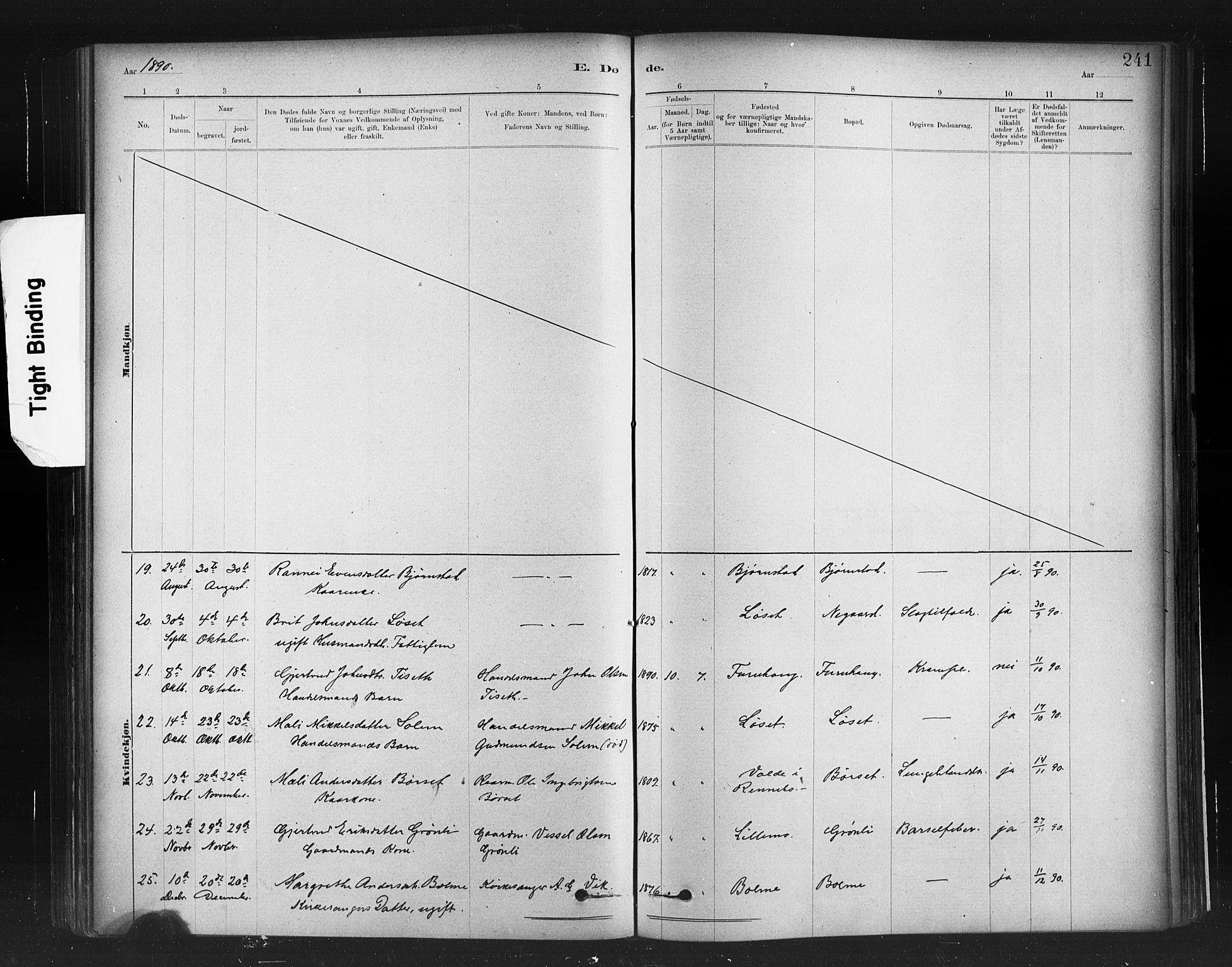 Ministerialprotokoller, klokkerbøker og fødselsregistre - Møre og Romsdal, AV/SAT-A-1454/598/L1069: Parish register (official) no. 598A03, 1882-1895, p. 241