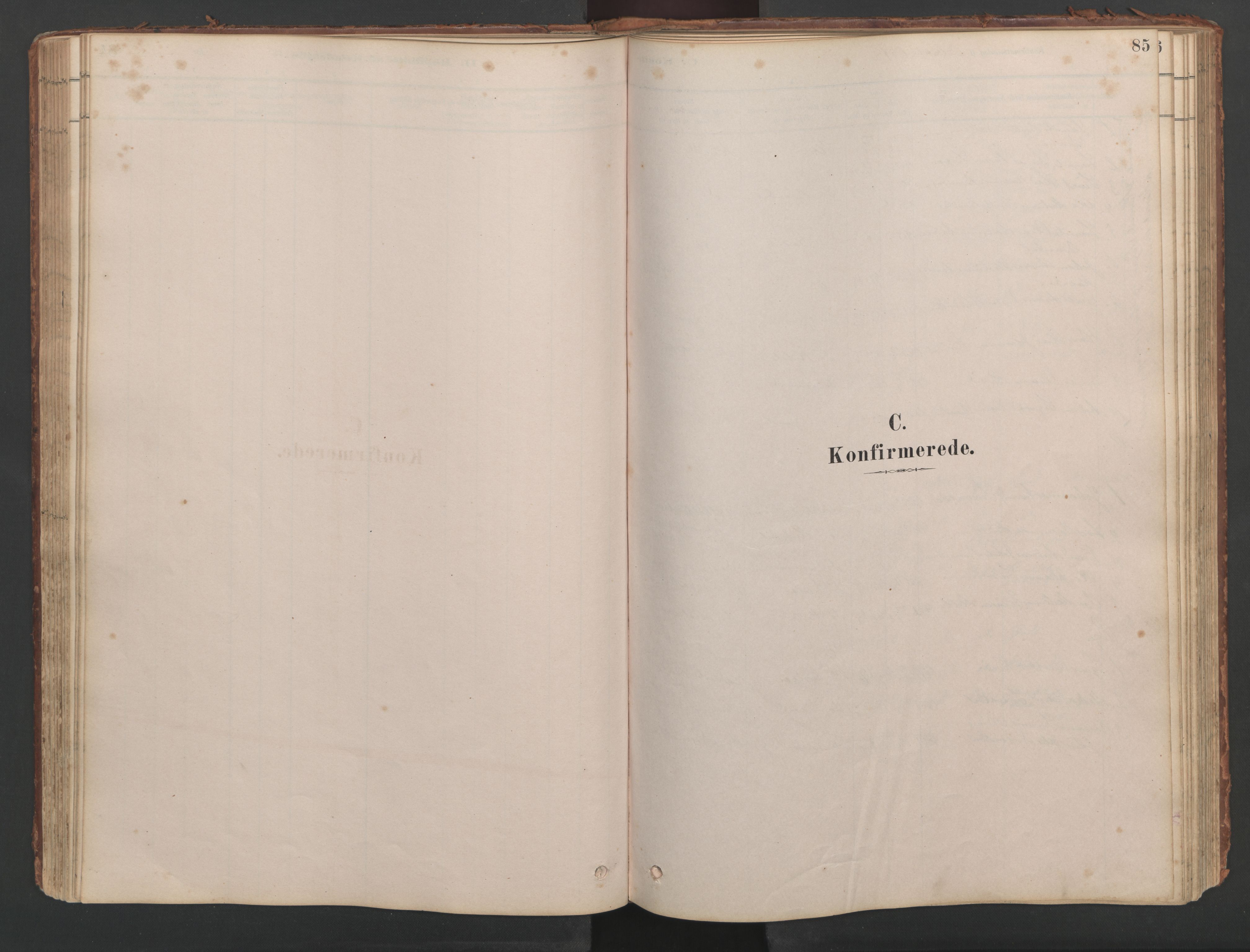 Ministerialprotokoller, klokkerbøker og fødselsregistre - Møre og Romsdal, SAT/A-1454/514/L0201: Parish register (copy) no. 514C01, 1878-1919, p. 85