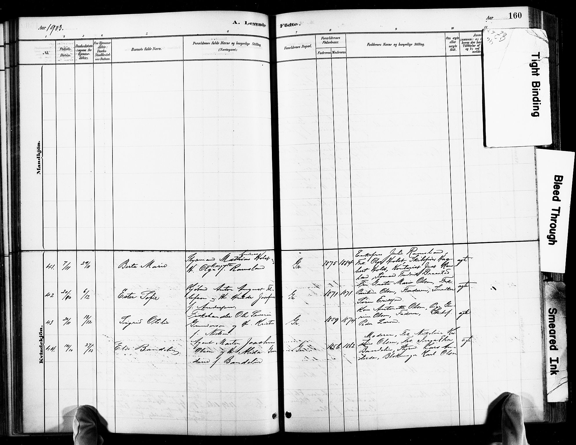 Grimstad sokneprestkontor, AV/SAK-1111-0017/F/Fb/L0001: Parish register (copy) no. B 1, 1881-1922, p. 160