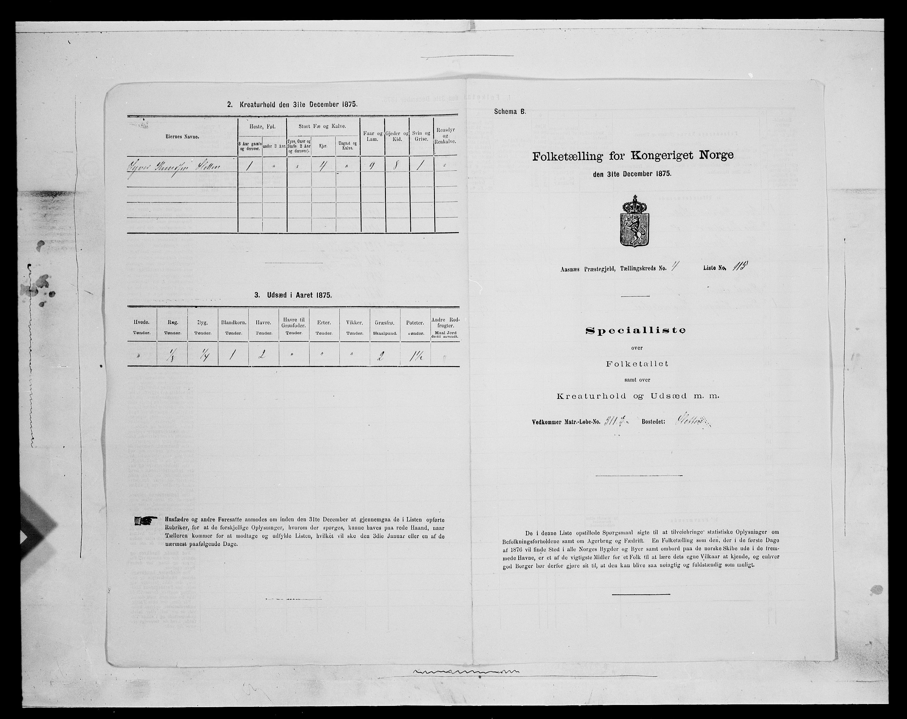 SAH, 1875 census for 0425P Åsnes, 1875, p. 685