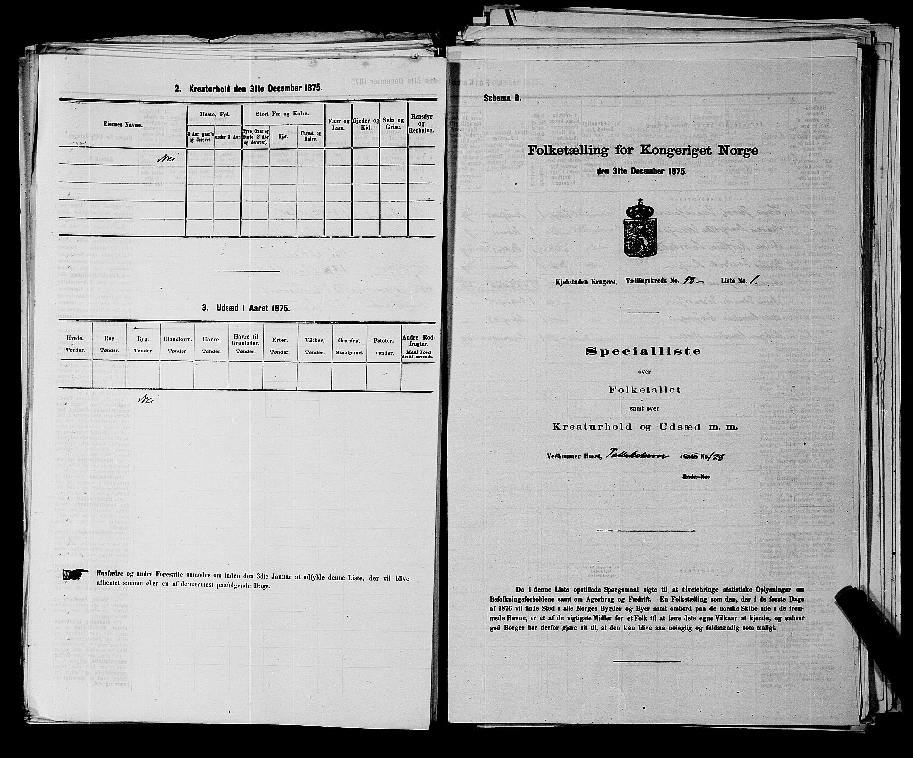 SAKO, 1875 census for 0801P Kragerø, 1875, p. 1286