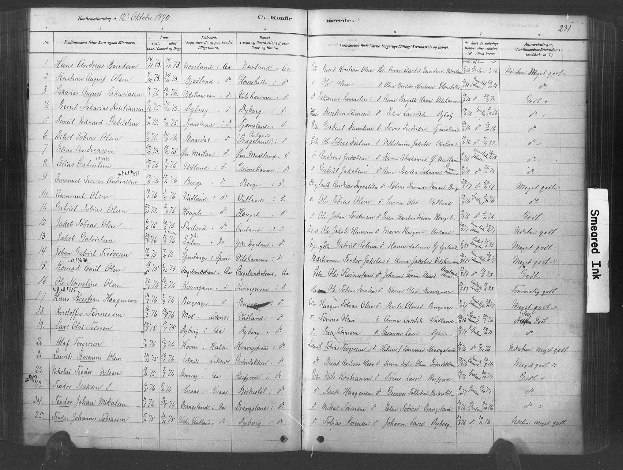 Lyngdal sokneprestkontor, AV/SAK-1111-0029/F/Fa/Fac/L0011: Parish register (official) no. A 11, 1878-1893, p. 231