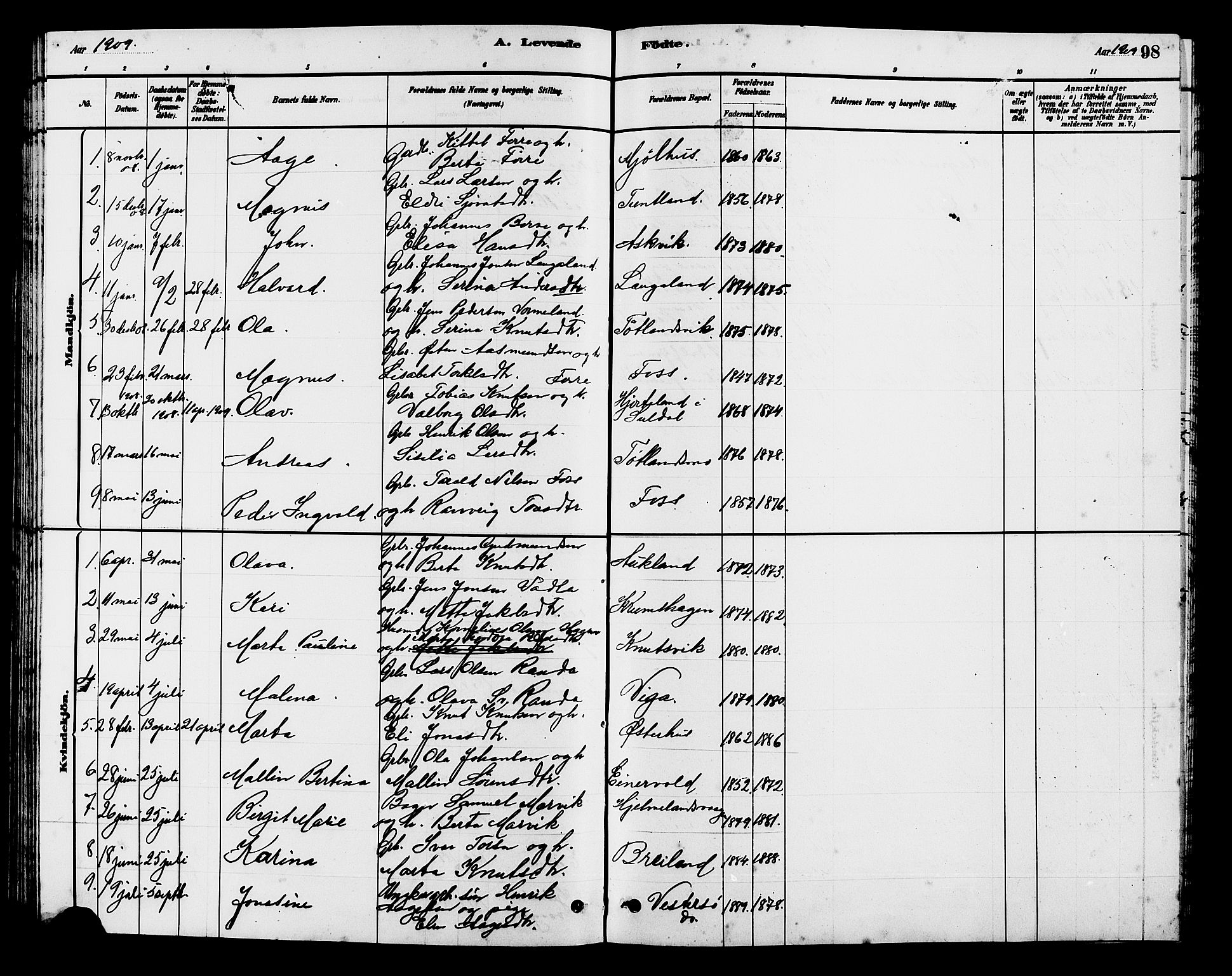 Hjelmeland sokneprestkontor, AV/SAST-A-101843/01/V/L0007: Parish register (copy) no. B 7, 1880-1909, p. 98