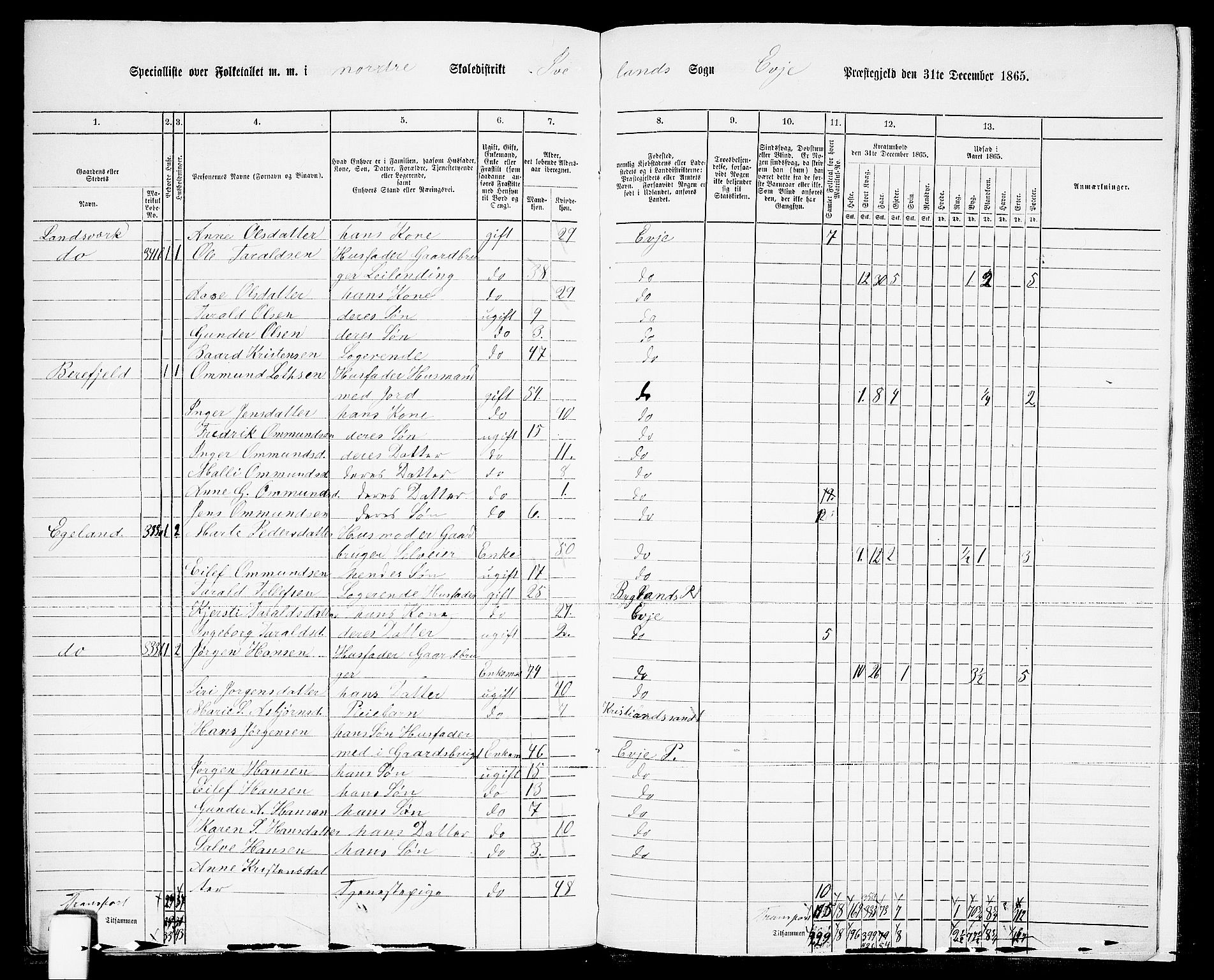 RA, 1865 census for Evje, 1865, p. 178