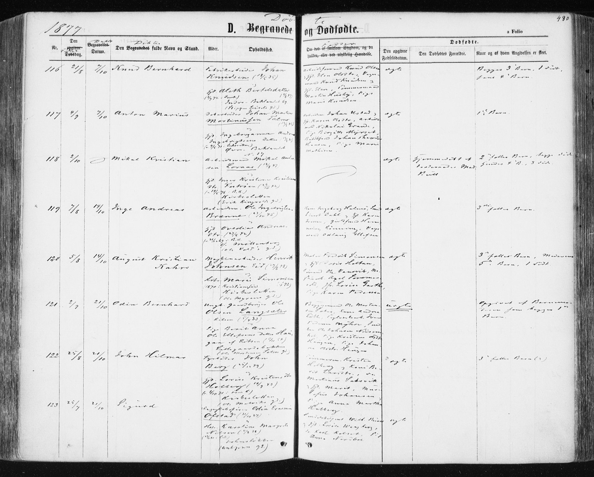 Ministerialprotokoller, klokkerbøker og fødselsregistre - Sør-Trøndelag, SAT/A-1456/604/L0186: Parish register (official) no. 604A07, 1866-1877, p. 480