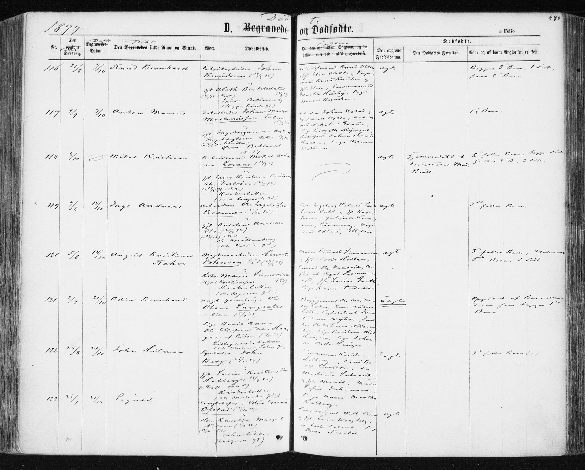 Ministerialprotokoller, klokkerbøker og fødselsregistre - Sør-Trøndelag, AV/SAT-A-1456/604/L0186: Parish register (official) no. 604A07, 1866-1877, p. 480