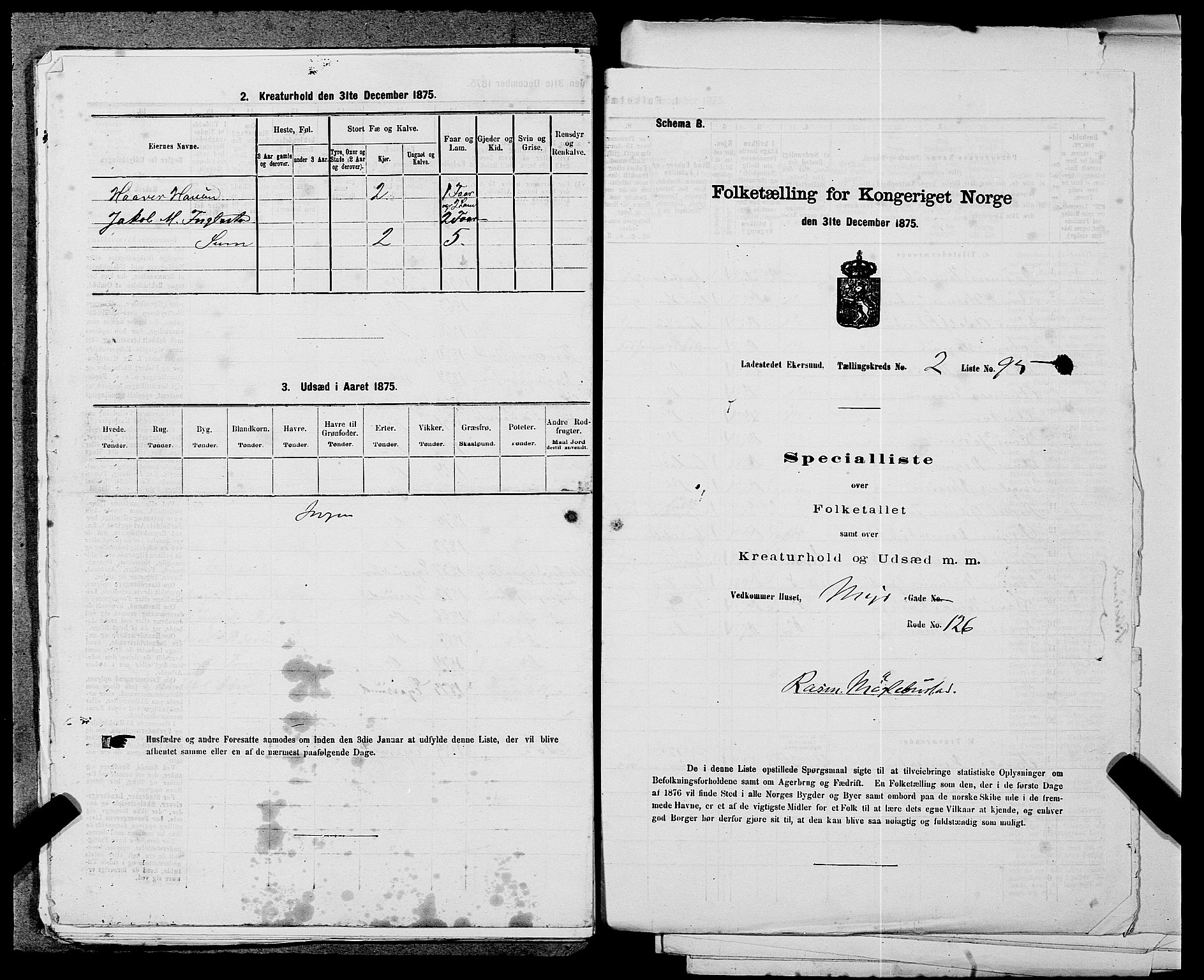 SAST, 1875 census for 1101B Eigersund parish, Egersund town, 1875, p. 200