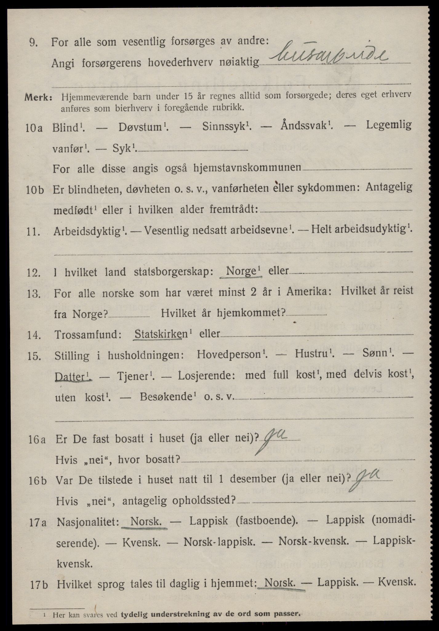 SAT, 1920 census for Rennebu, 1920, p. 5813