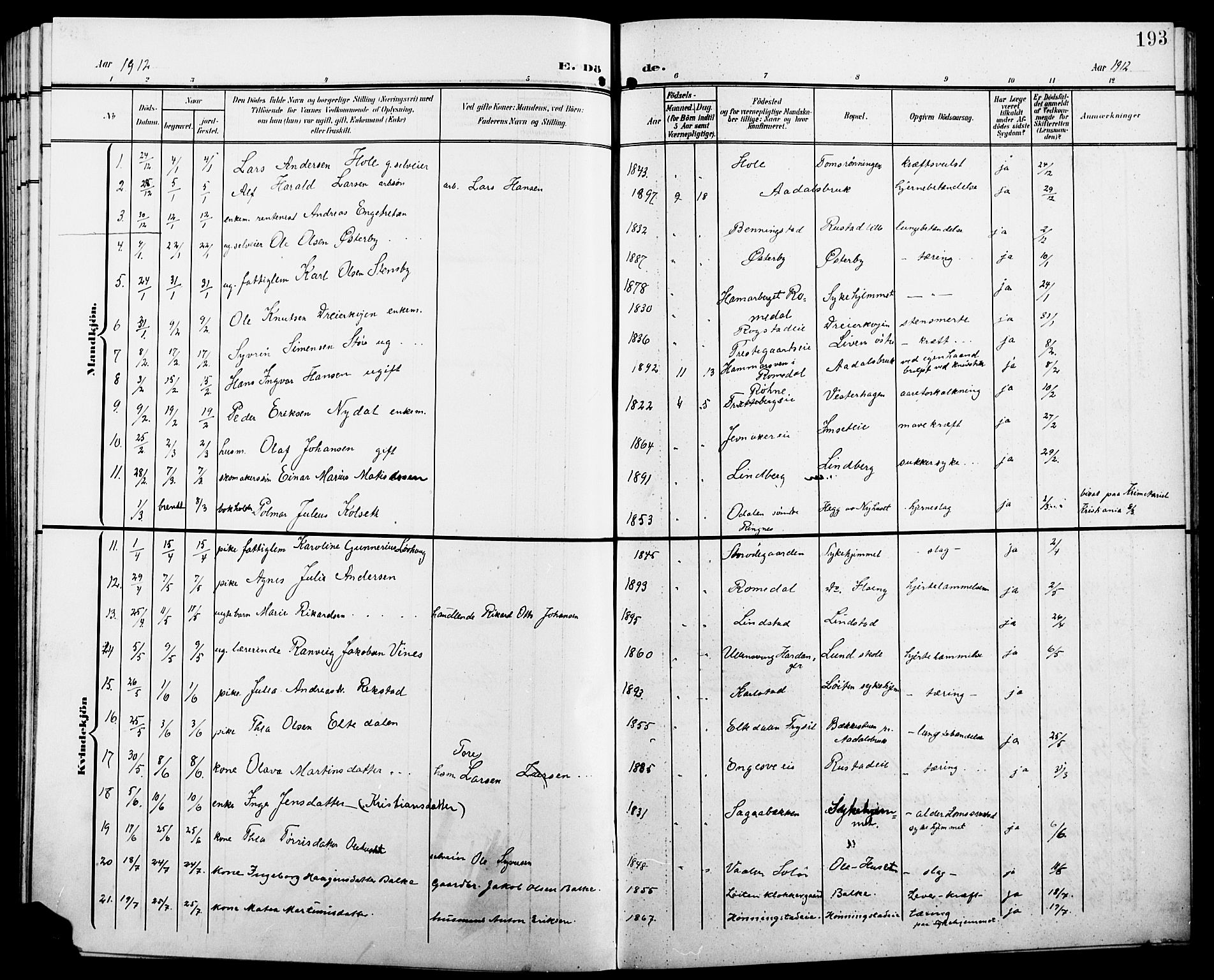 Løten prestekontor, SAH/PREST-022/L/La/L0007: Parish register (copy) no. 7, 1910-1919, p. 193