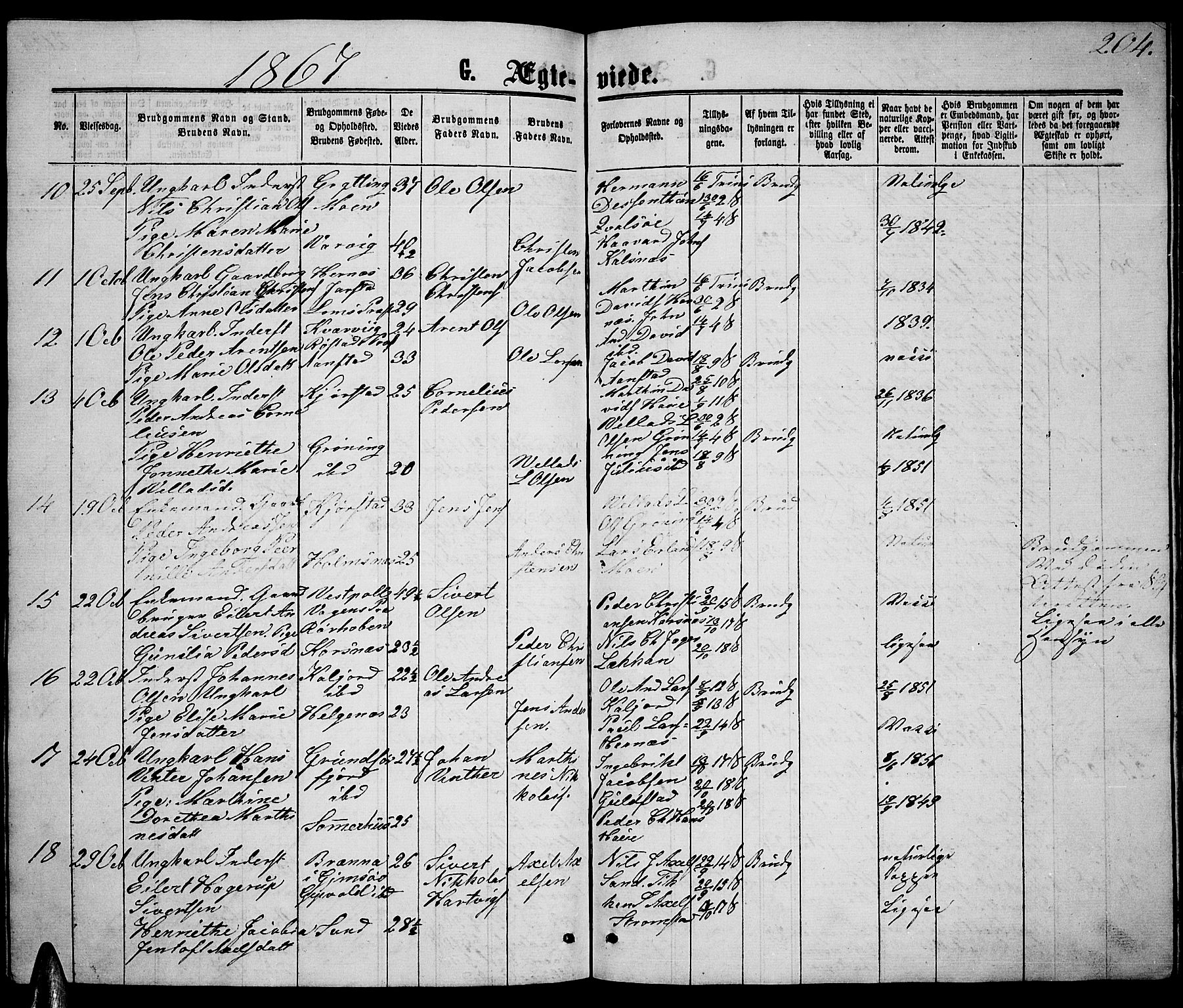 Ministerialprotokoller, klokkerbøker og fødselsregistre - Nordland, AV/SAT-A-1459/888/L1266: Parish register (copy) no. 888C04, 1864-1877, p. 204