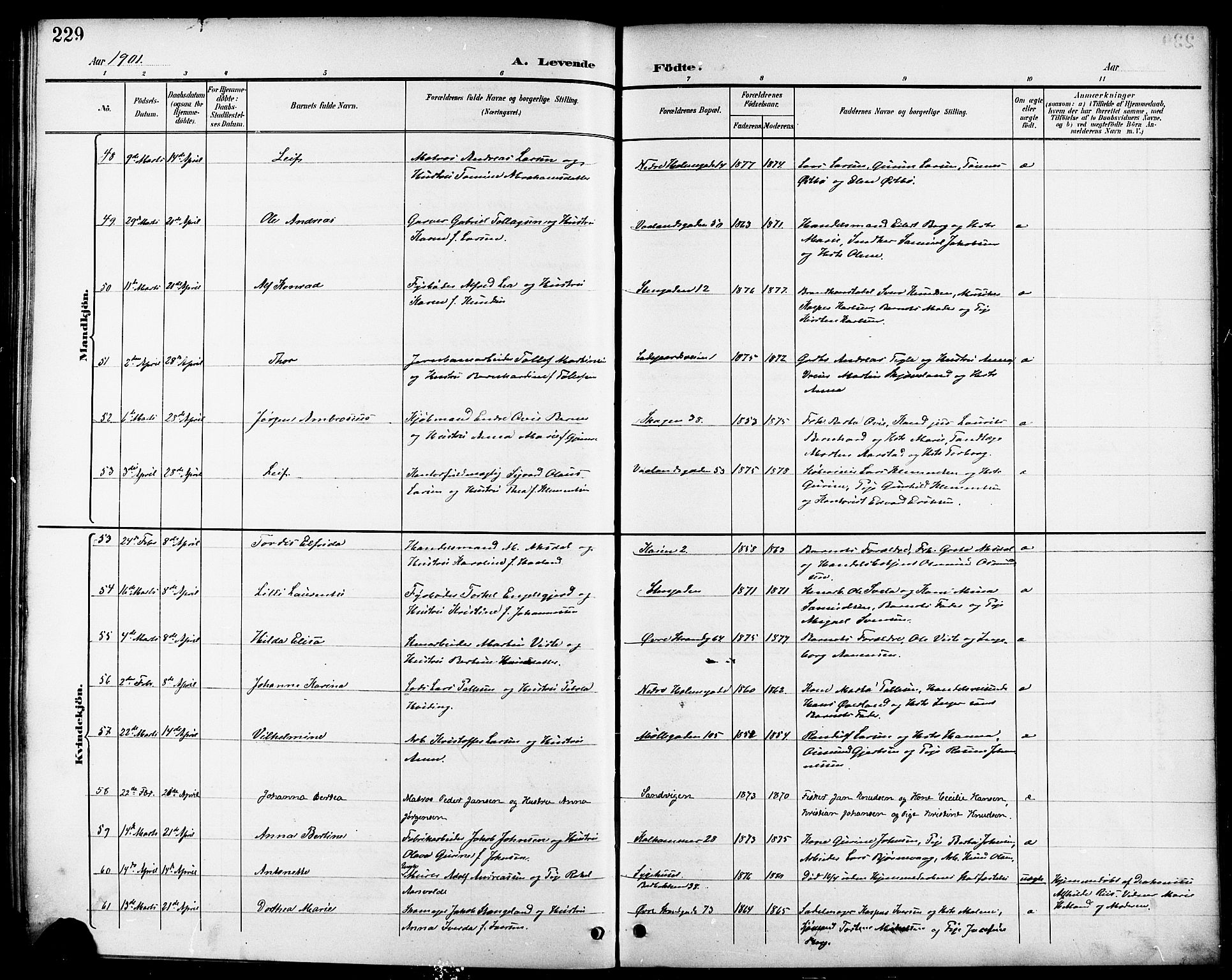 Domkirken sokneprestkontor, AV/SAST-A-101812/001/30/30BB/L0016: Parish register (copy) no. B 16, 1891-1902, p. 229