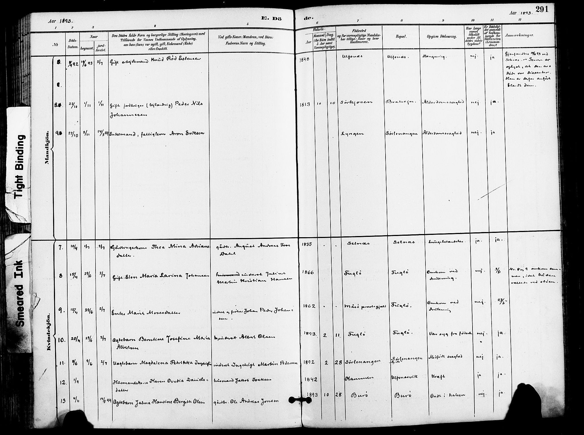 Karlsøy sokneprestembete, AV/SATØ-S-1299/H/Ha/Haa/L0007kirke: Parish register (official) no. 7, 1891-1902, p. 291