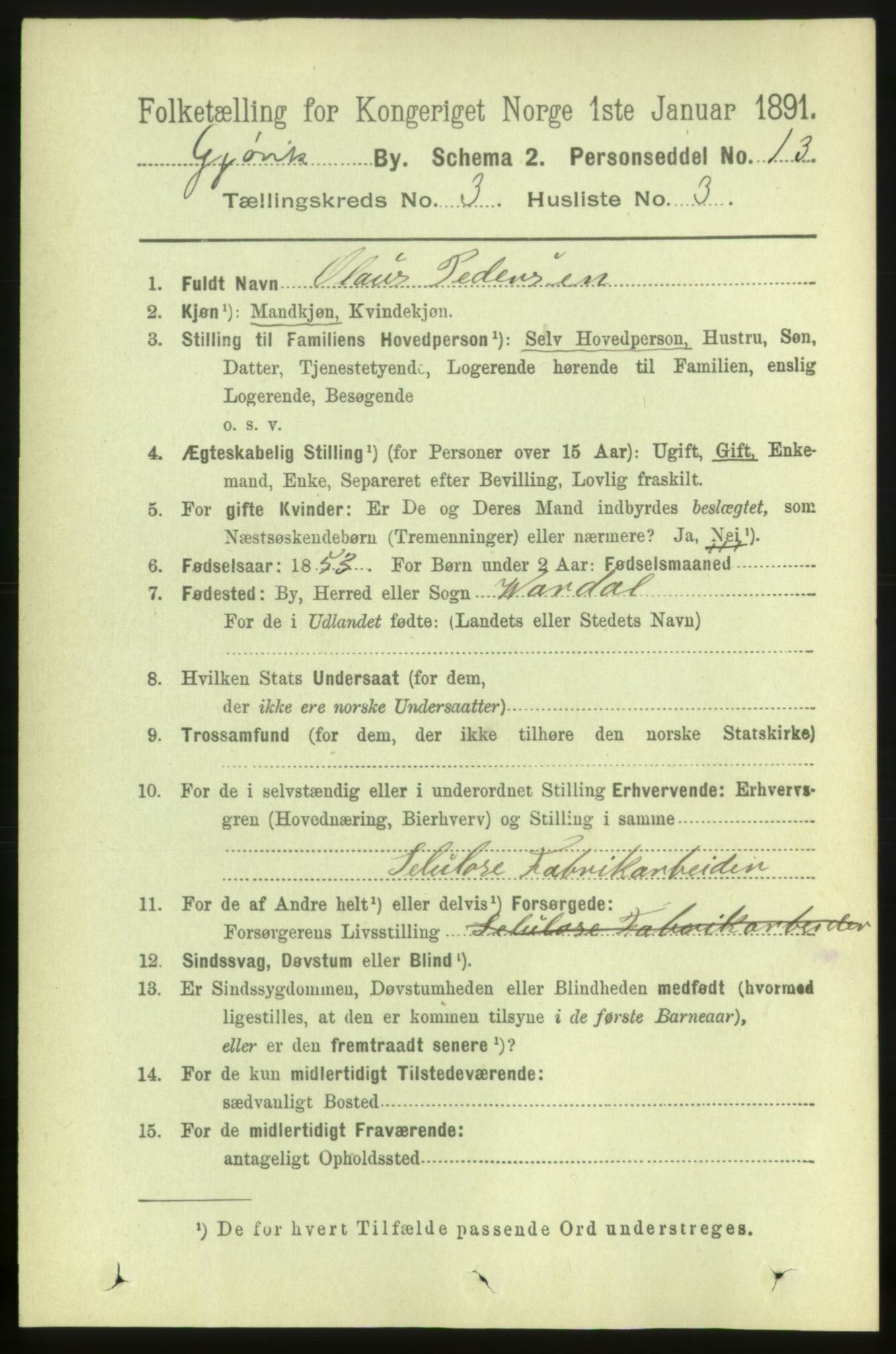 RA, 1891 census for 0502 Gjøvik, 1891, p. 1024