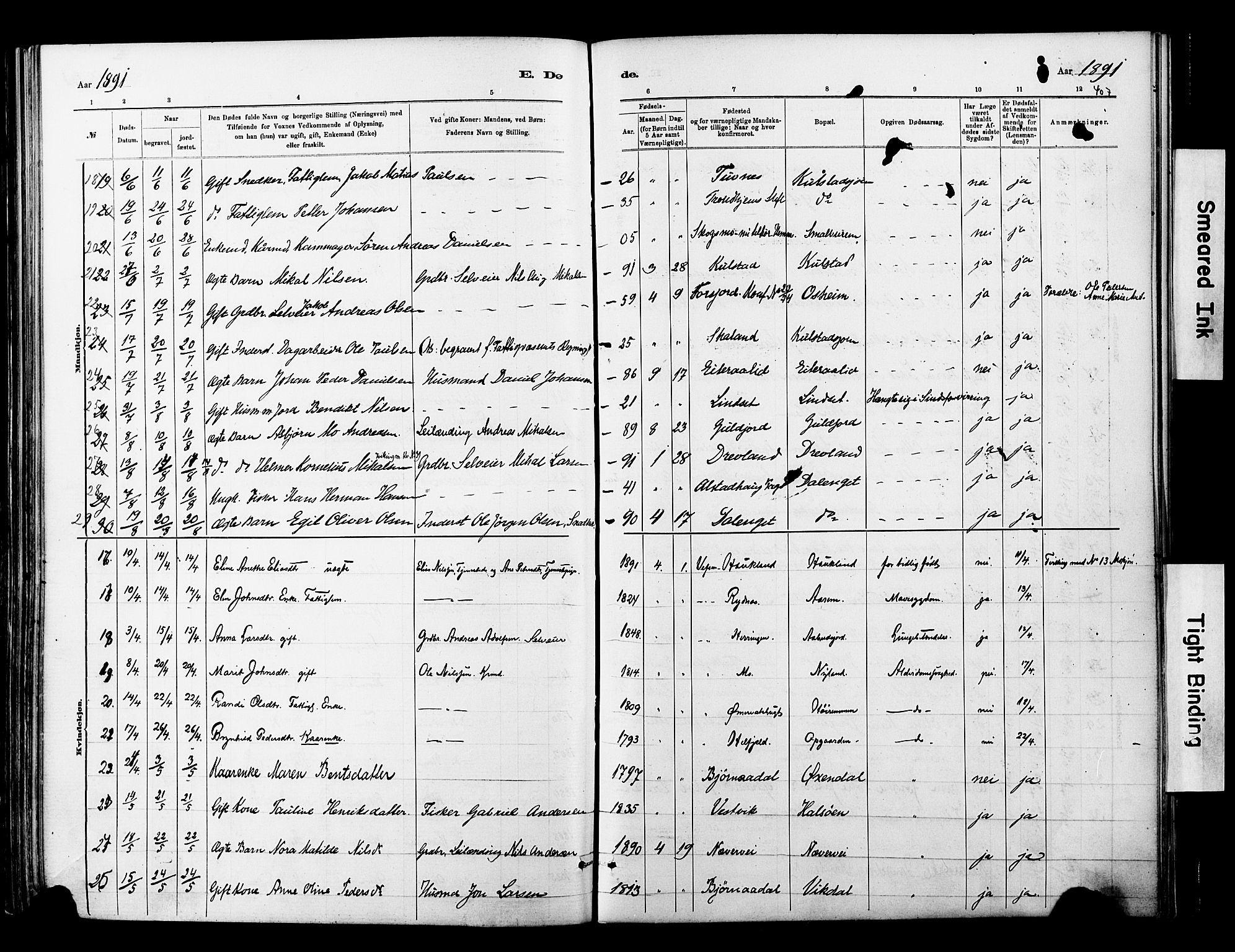 Ministerialprotokoller, klokkerbøker og fødselsregistre - Nordland, AV/SAT-A-1459/820/L0295: Parish register (official) no. 820A16, 1880-1896, p. 407