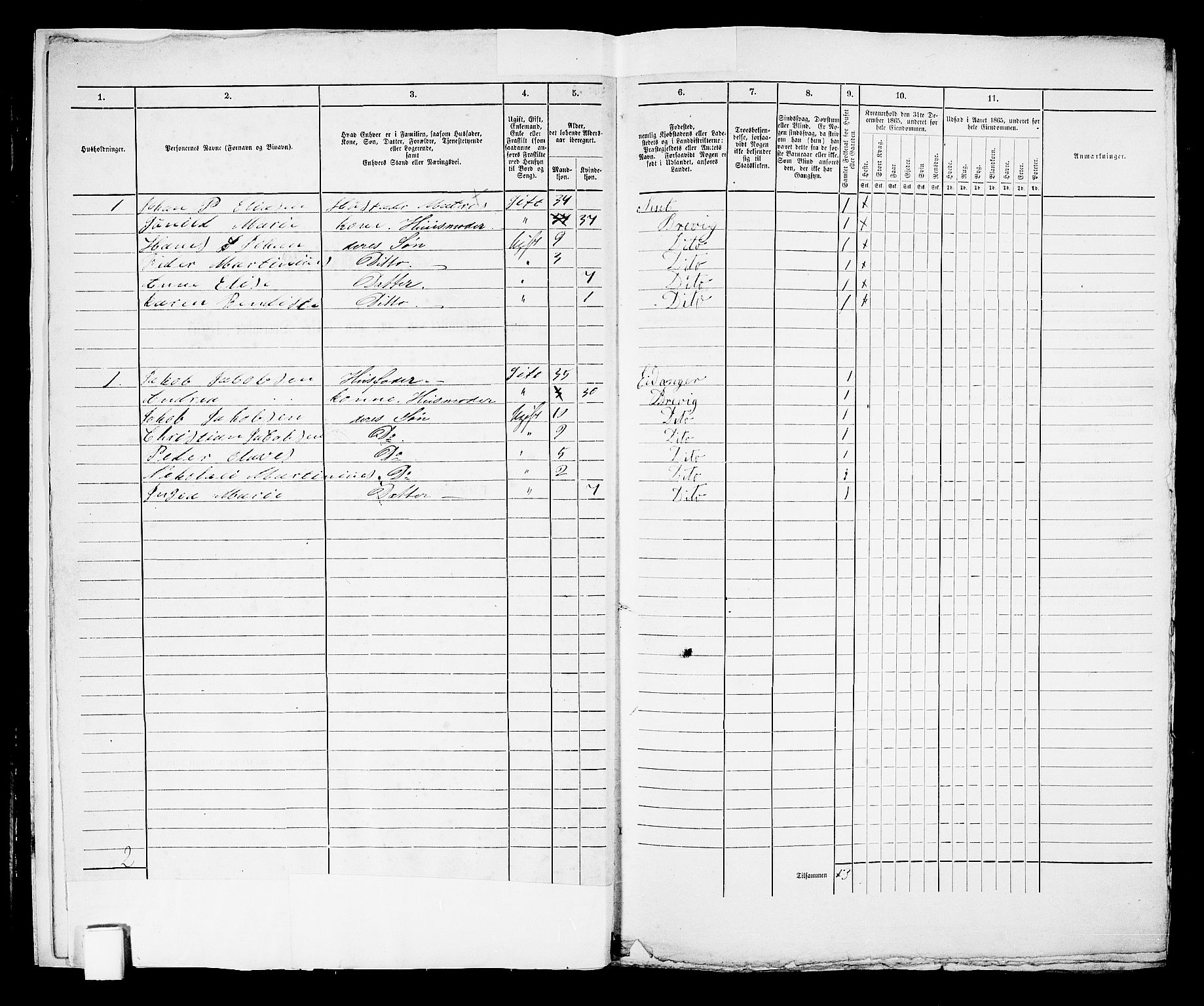 RA, 1865 census for Brevik, 1865, p. 11