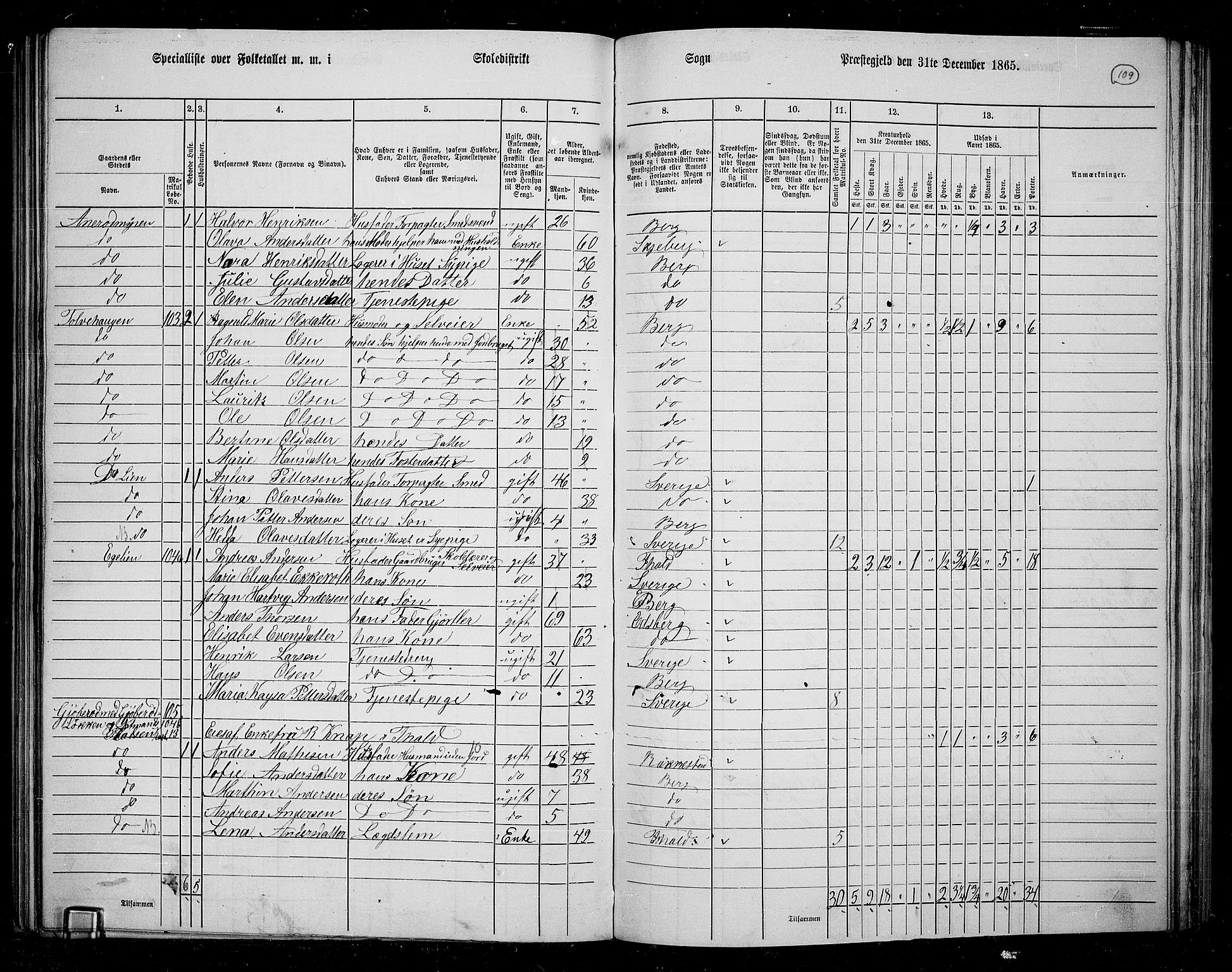 RA, 1865 census for Berg, 1865, p. 98