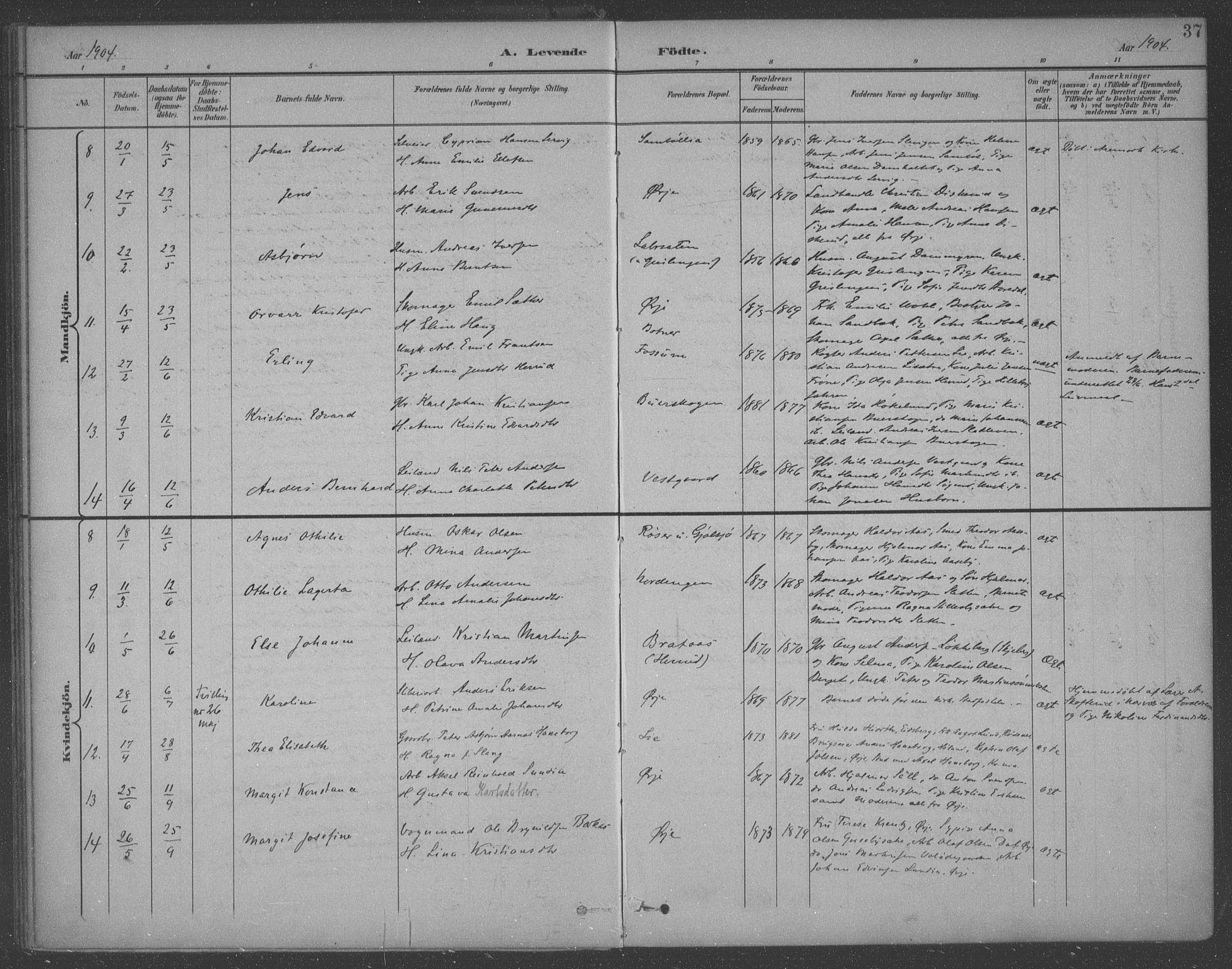 Aremark prestekontor Kirkebøker, AV/SAO-A-10899/F/Fb/L0005: Parish register (official) no. II 5, 1895-1919, p. 37